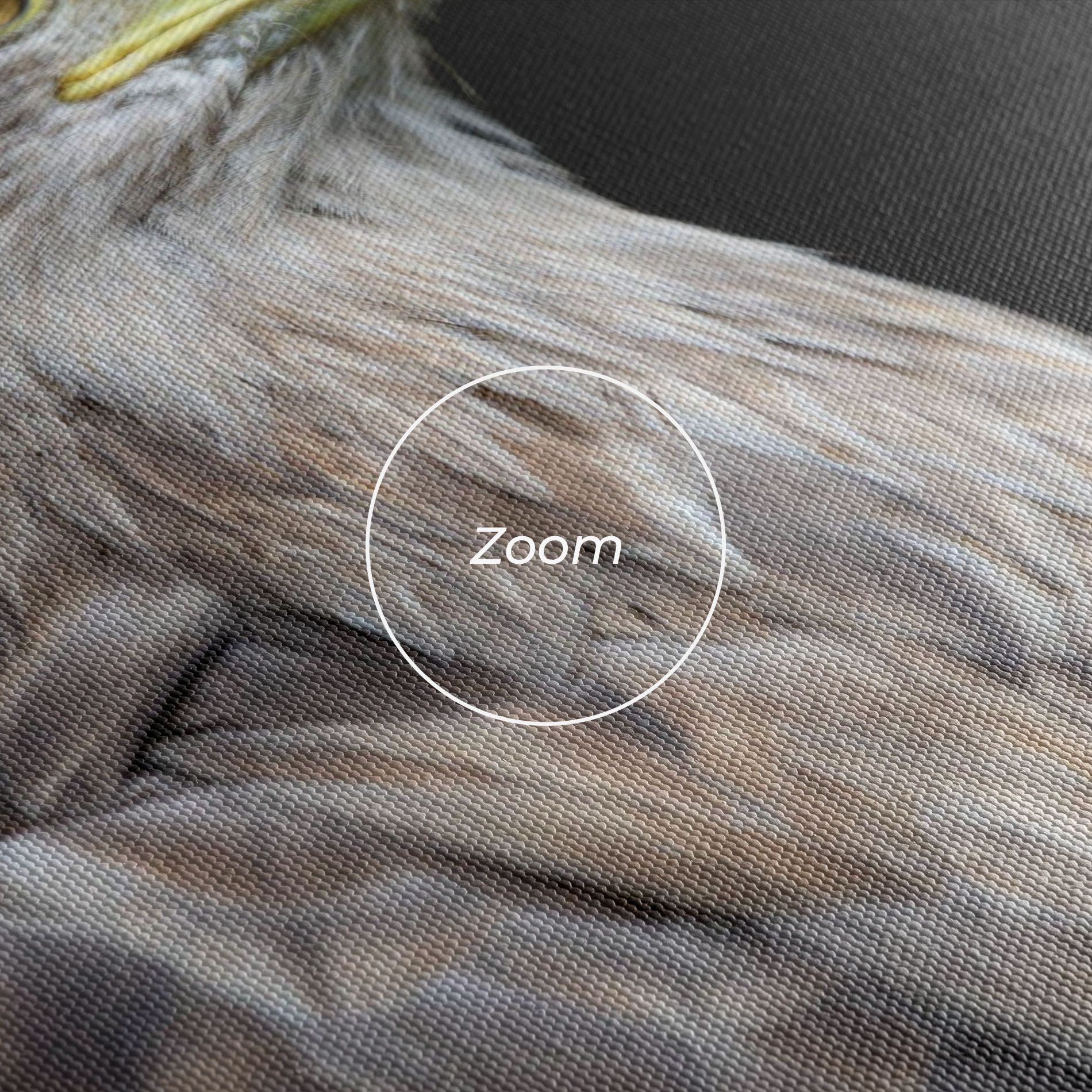 Close Up Eagle mockup 3