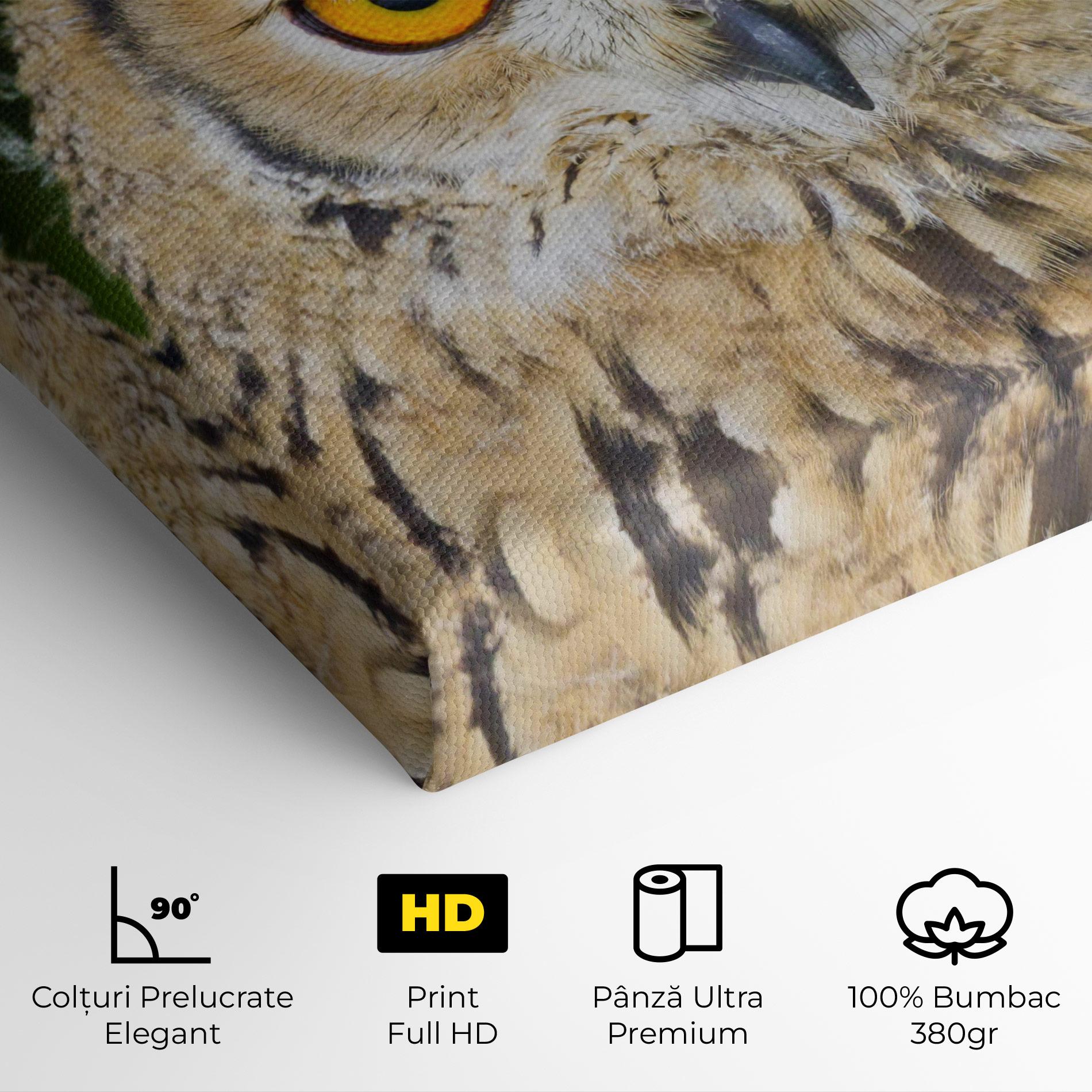 Tablou Canvas Angry Owl mockup 4