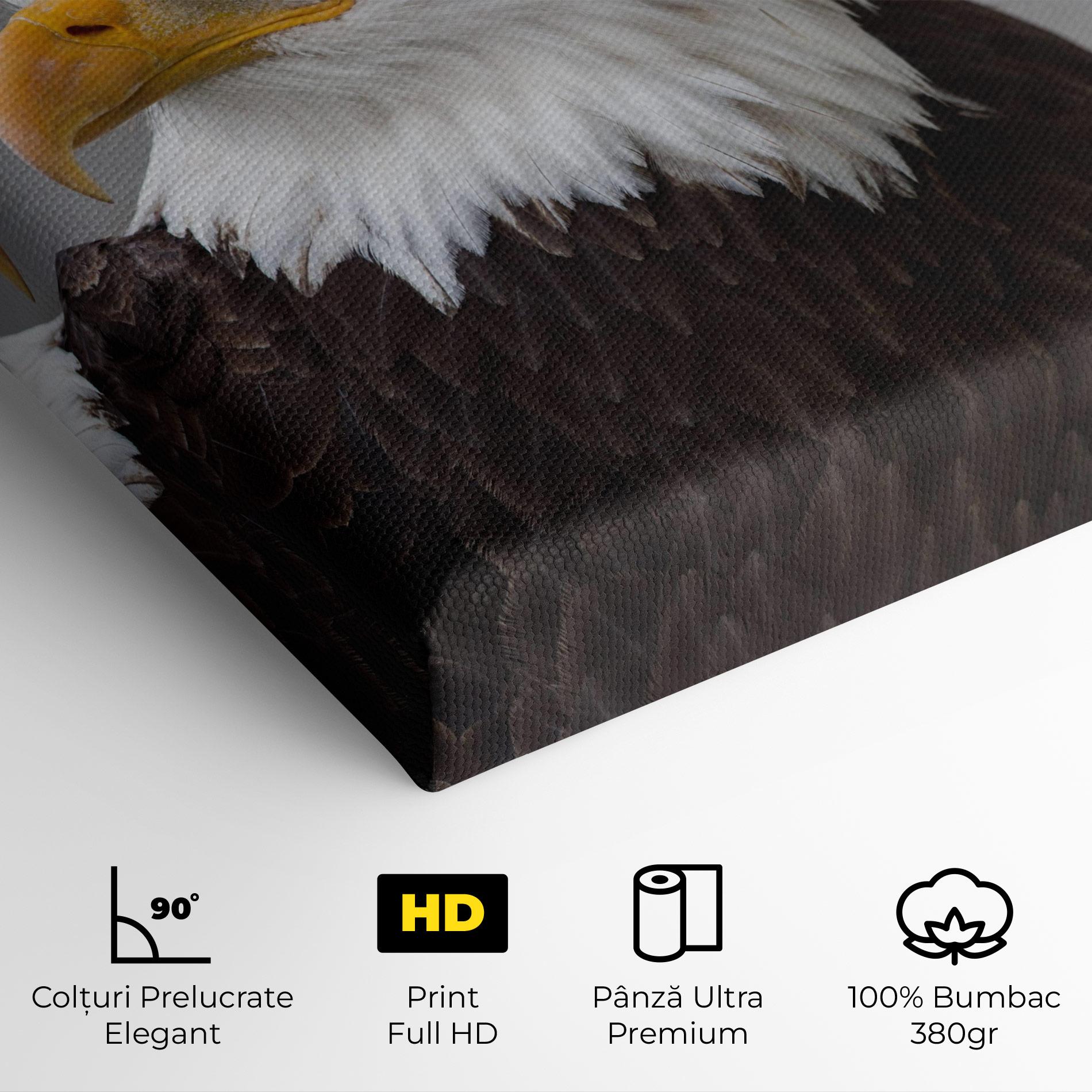 Tablou Canvas Beautiful Eagle mockup 4