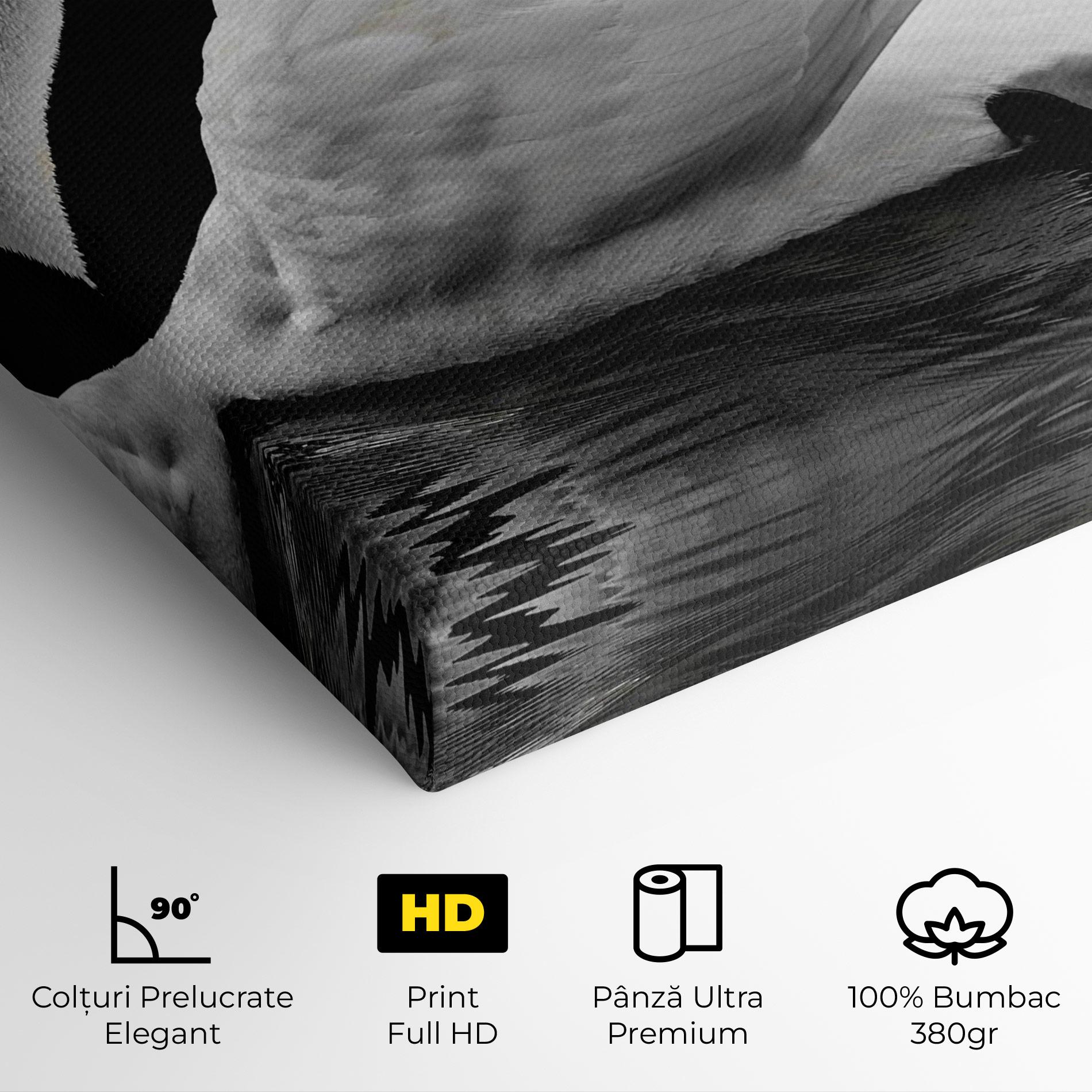 Tablou Canvas Black And White Swan mockup 4