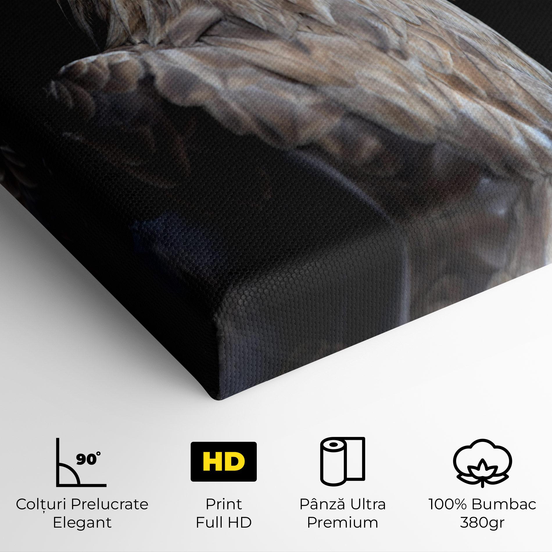 Tablou Canvas Close Up Eagle mockup 4