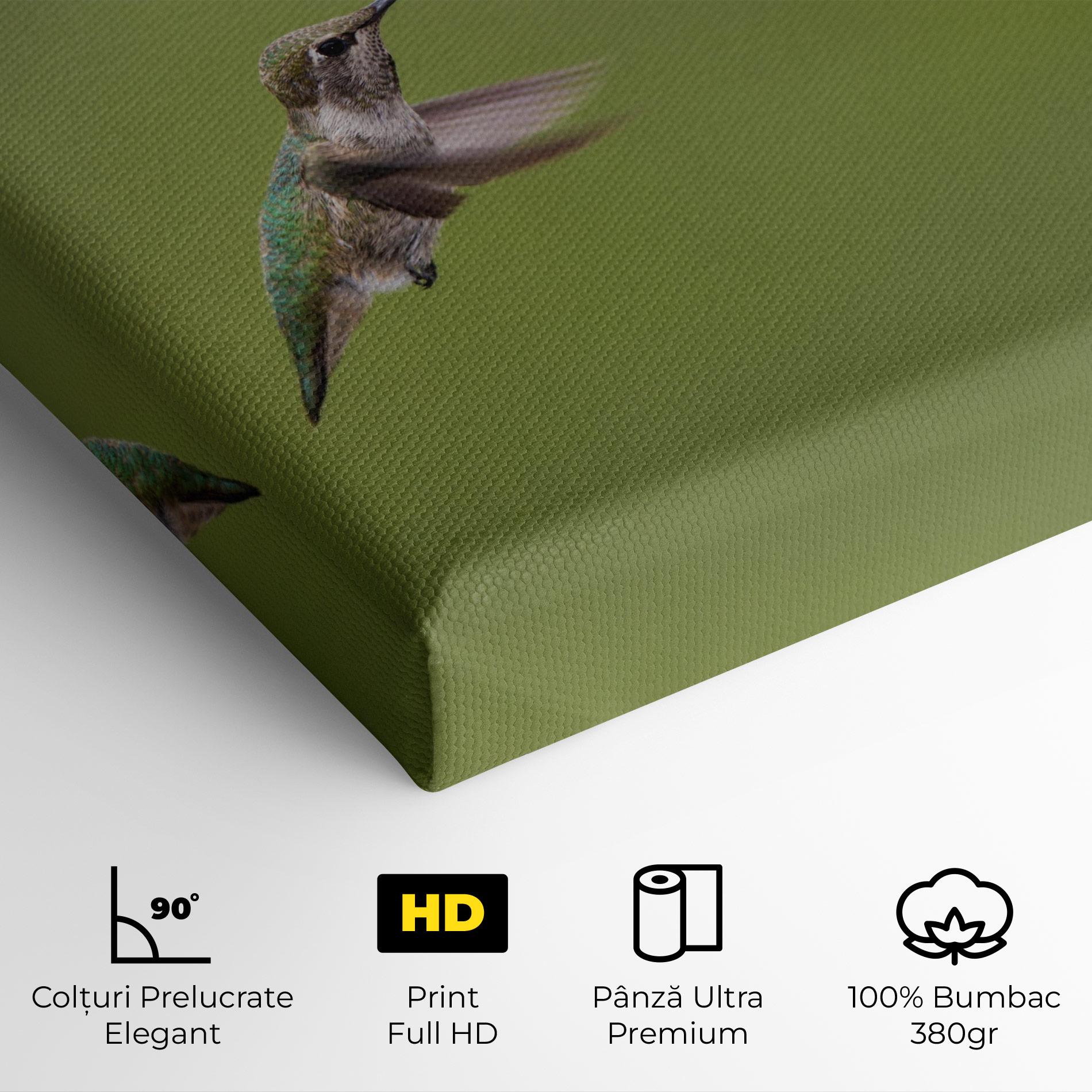 Tablou Canvas Cute Hummingbird mockup 4