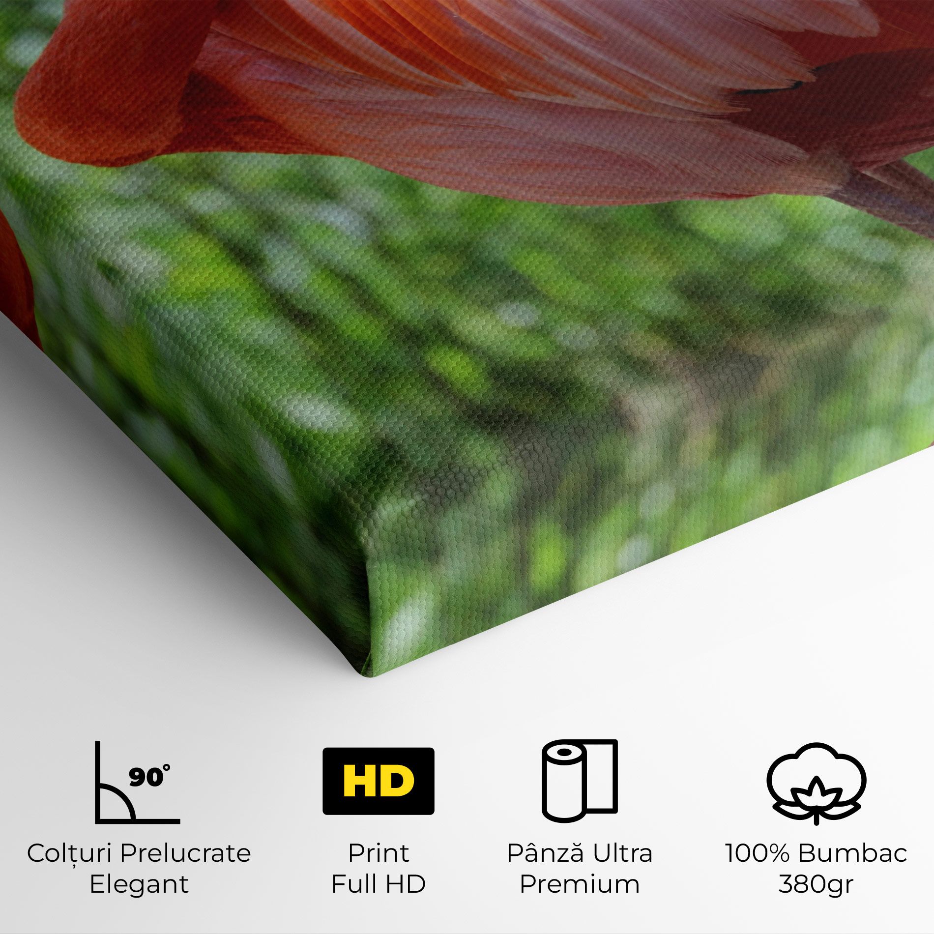 Red Flamingo mockup 4