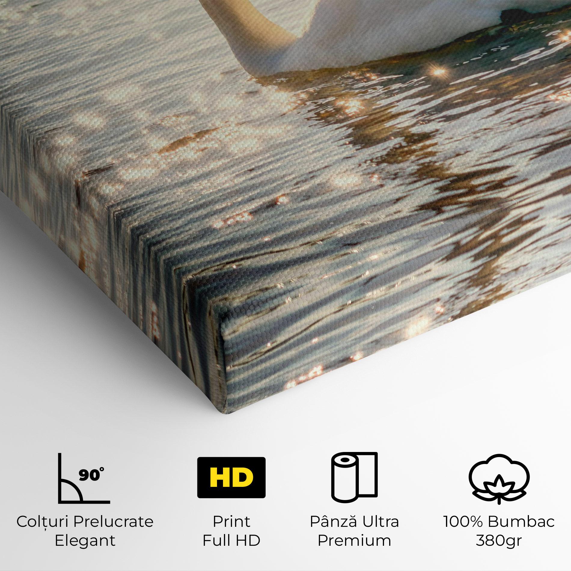 Tablou Canvas Swan On Lake mockup 4