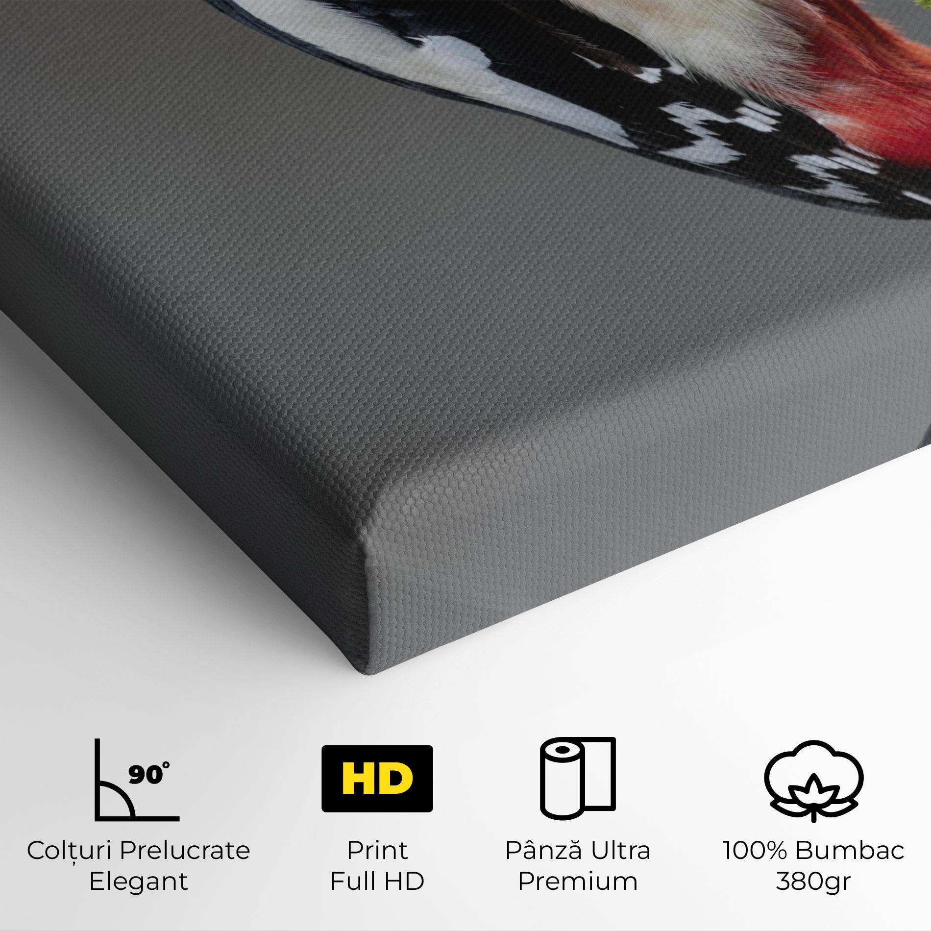 Tablou Canvas Woodpecker mockup 4