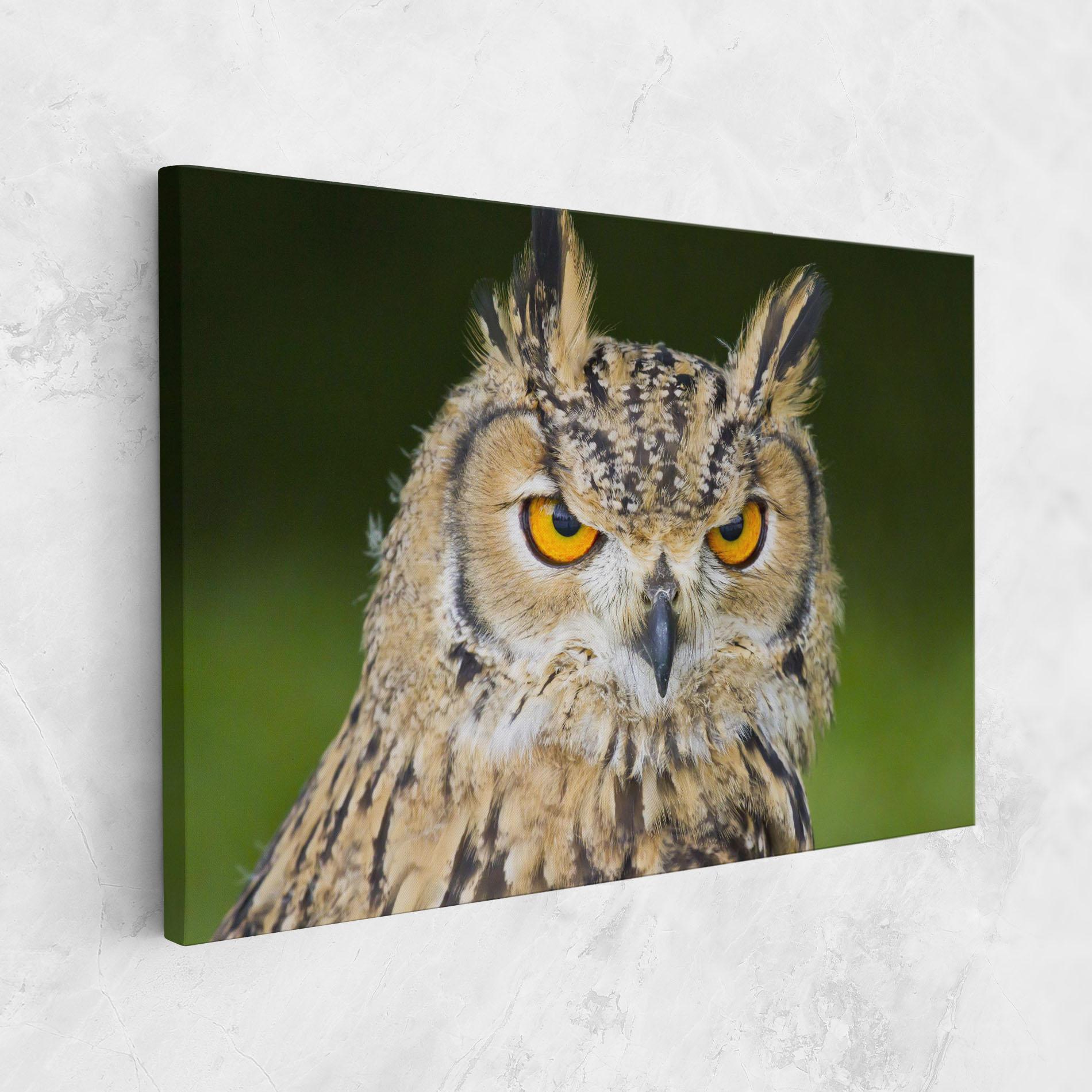 Tablou Canvas Angry Owl mockup 1