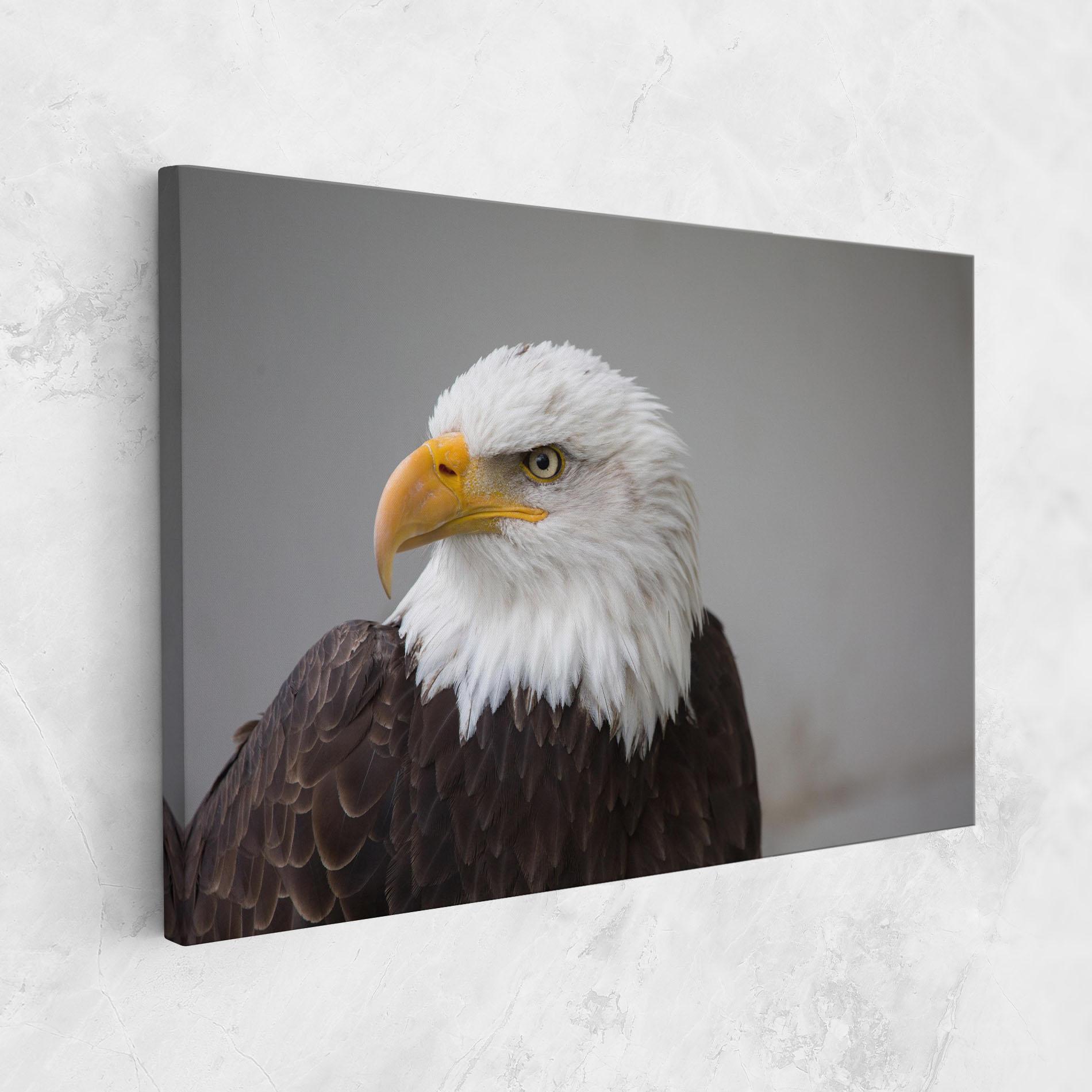 Tablou Canvas Beautiful Eagle mockup 1