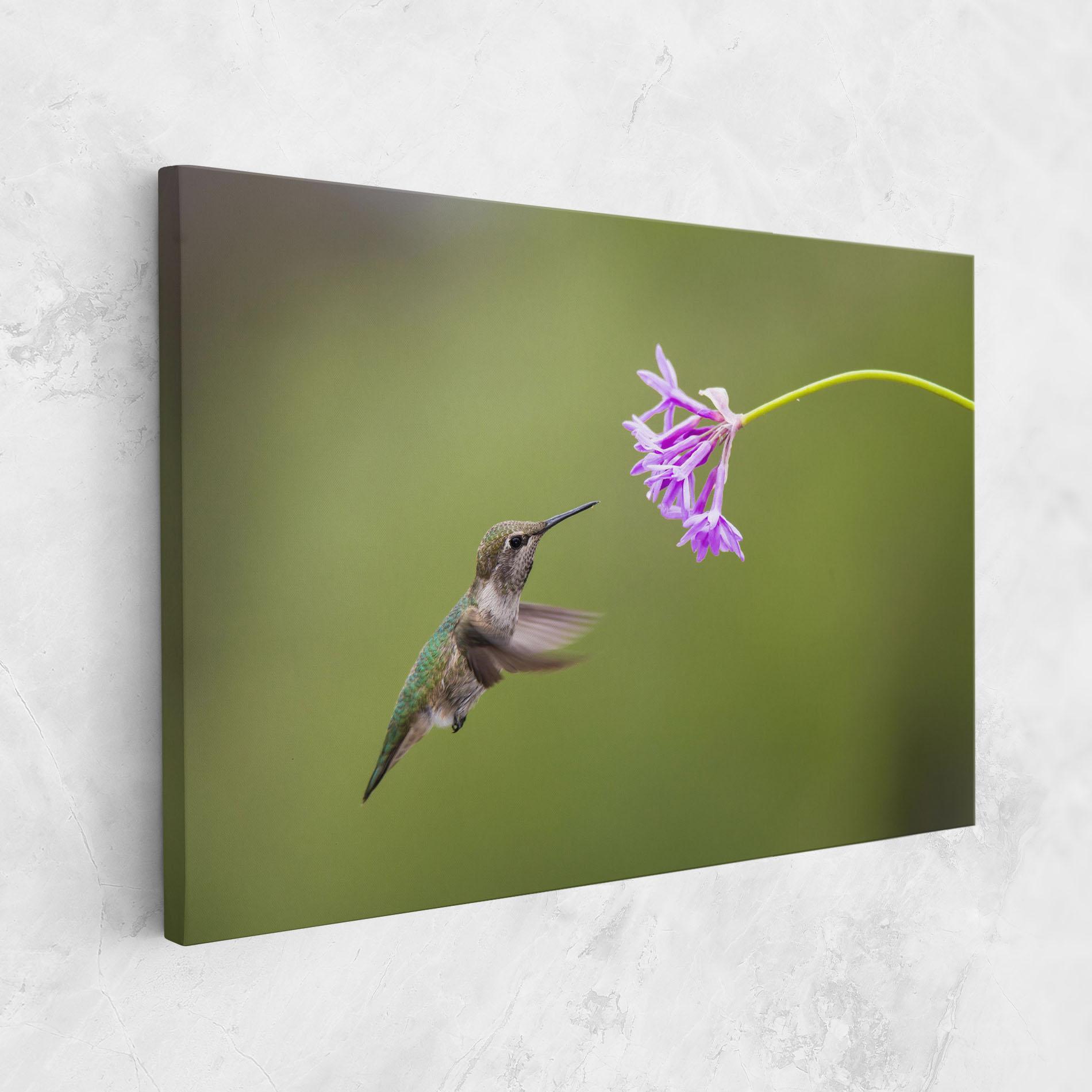 Tablou Canvas Cute Hummingbird mockup 1
