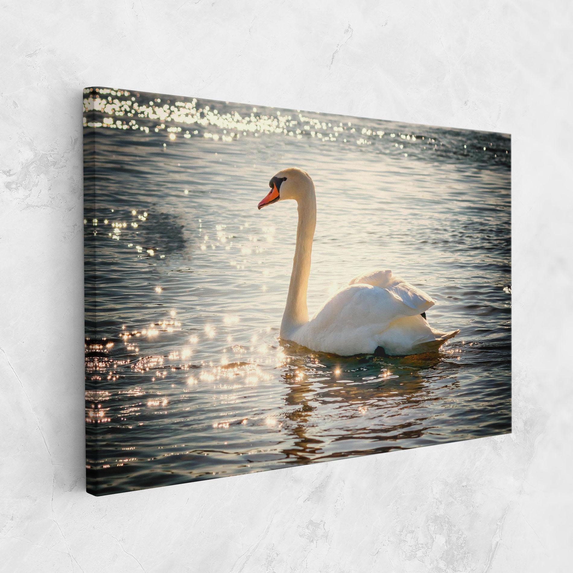 Tablou Canvas Swan On Lake mockup 1