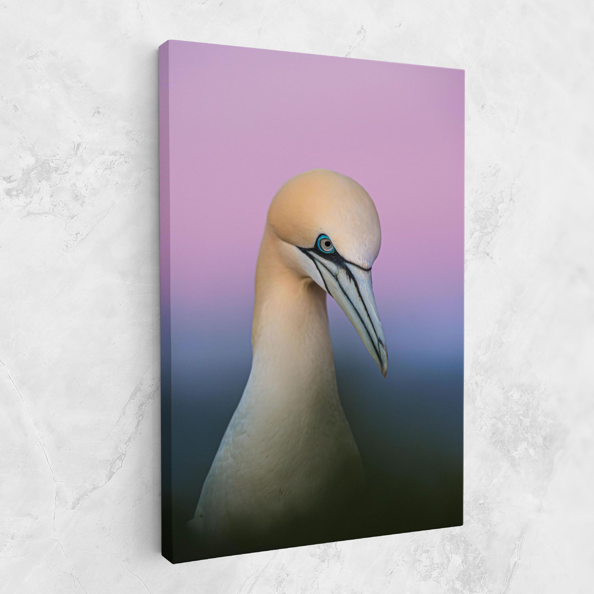 Bird Shades mockup 1