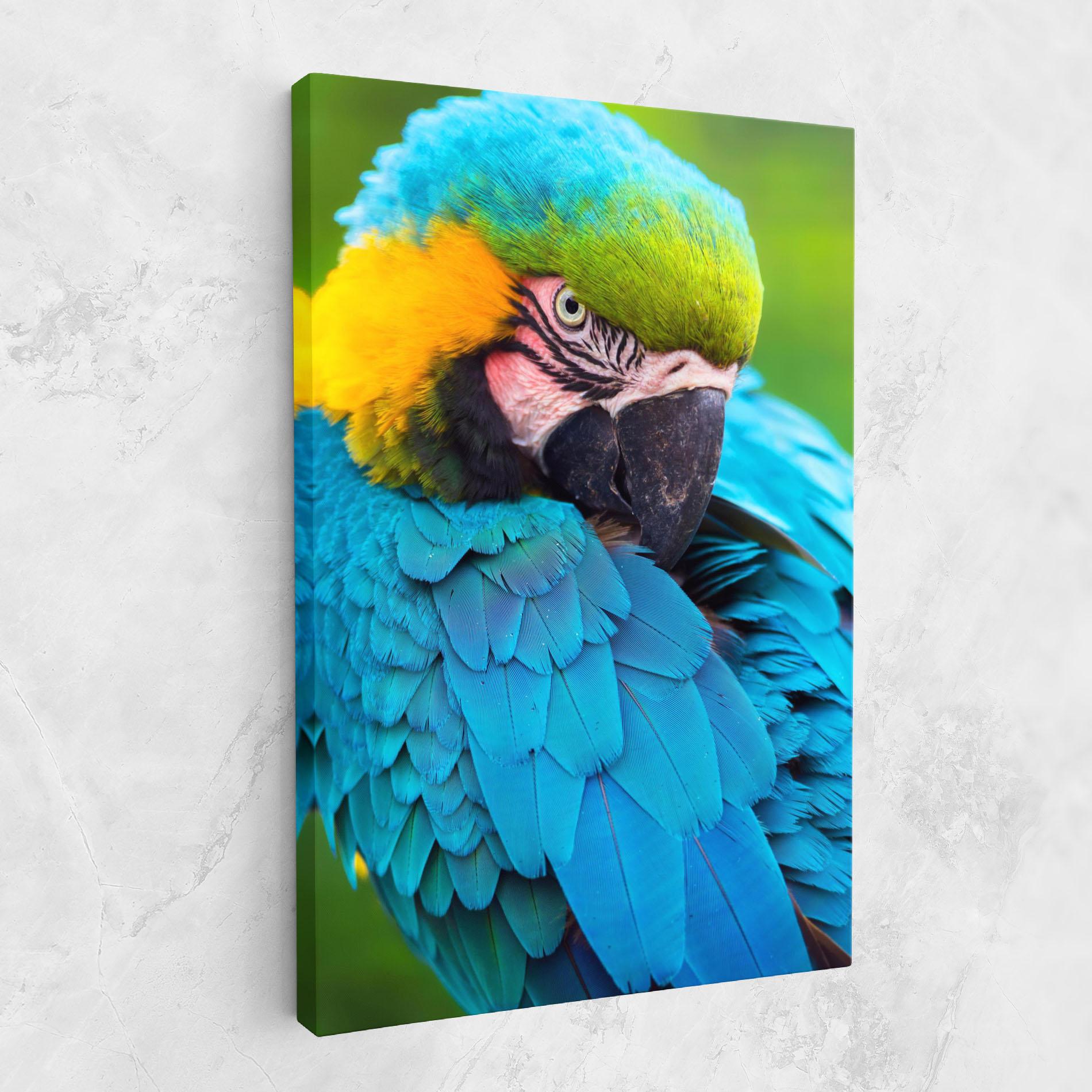Tablou Canvas Blue Parrot mockup 1