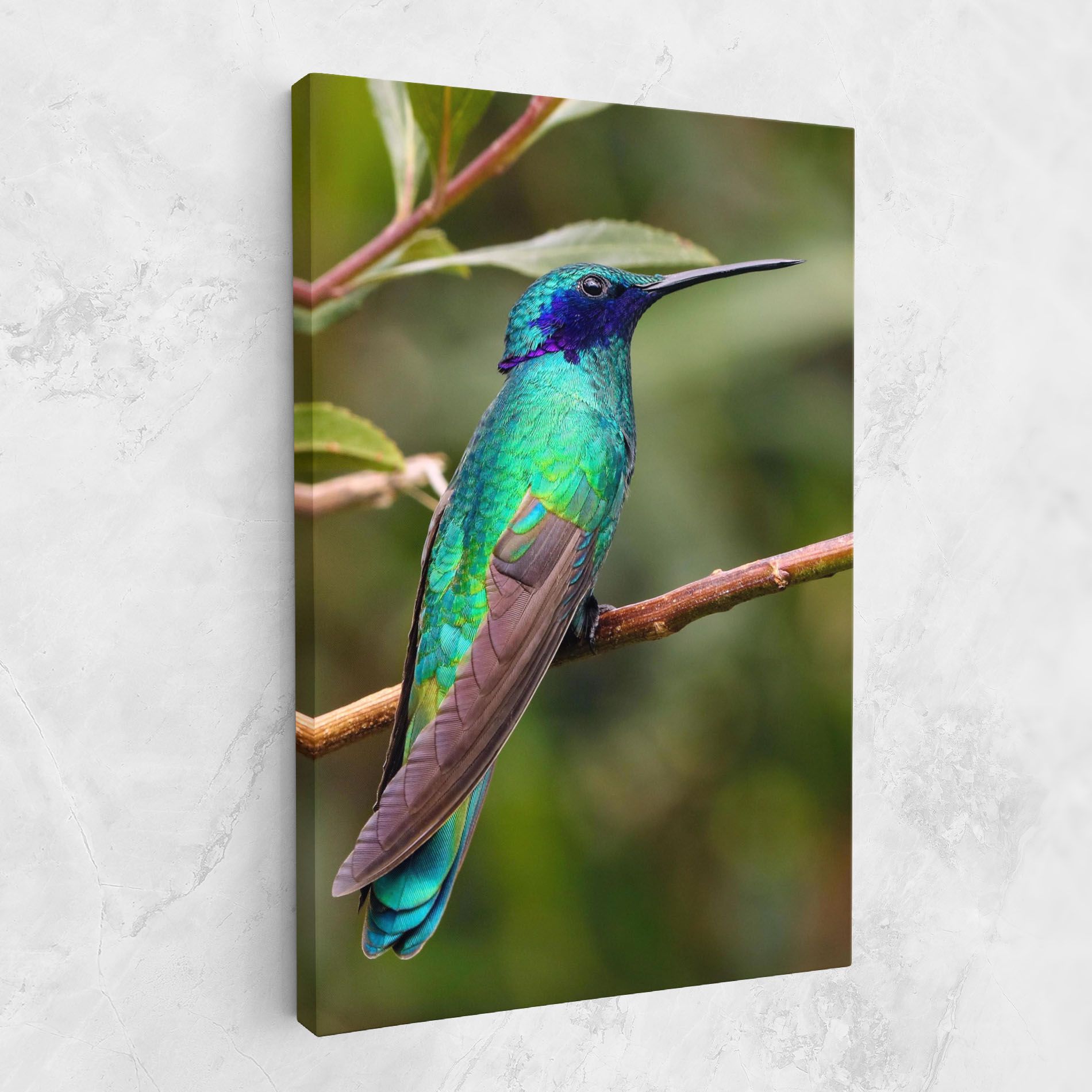 Green Bird mockup 1
