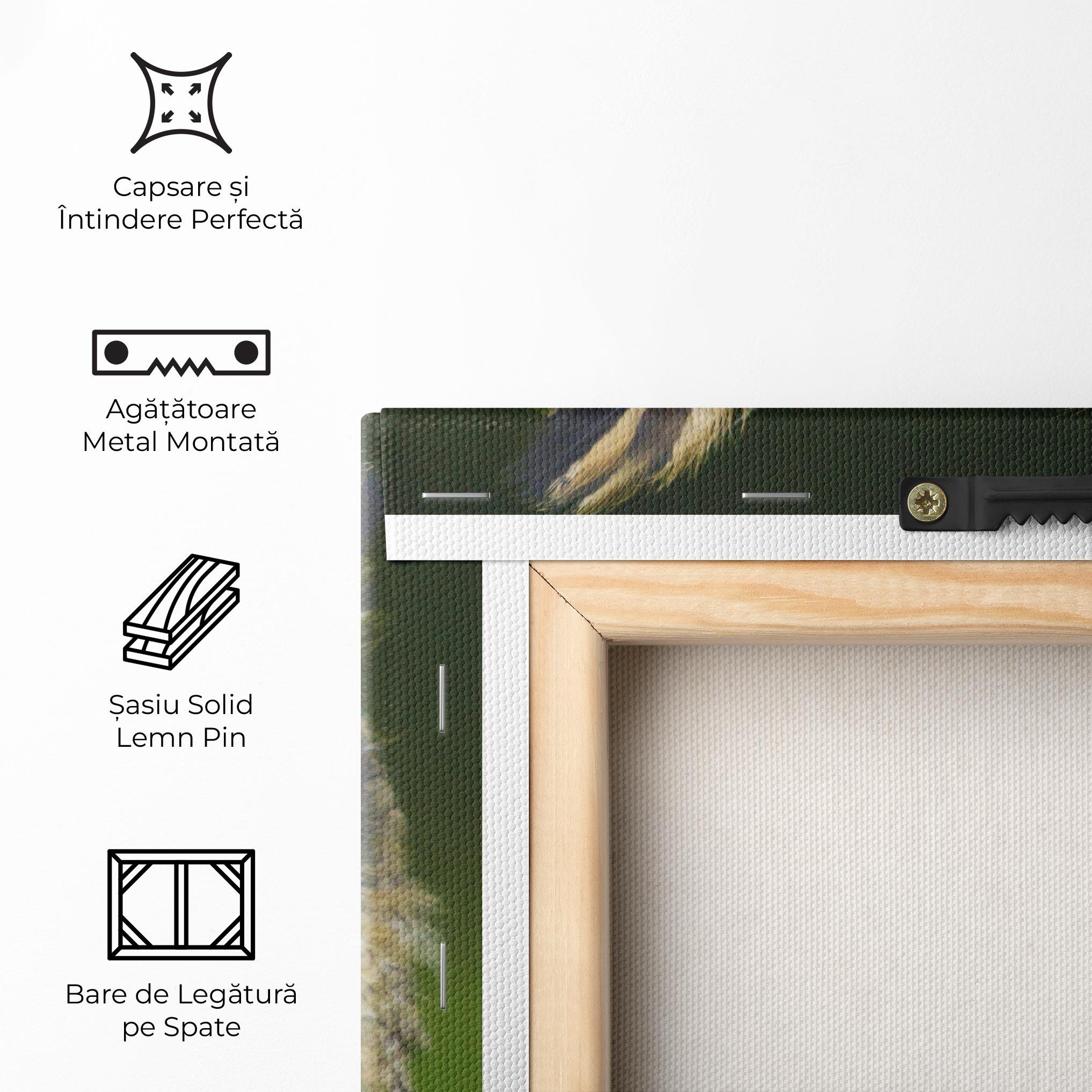 Tablou Canvas Angry Owl mockup 5