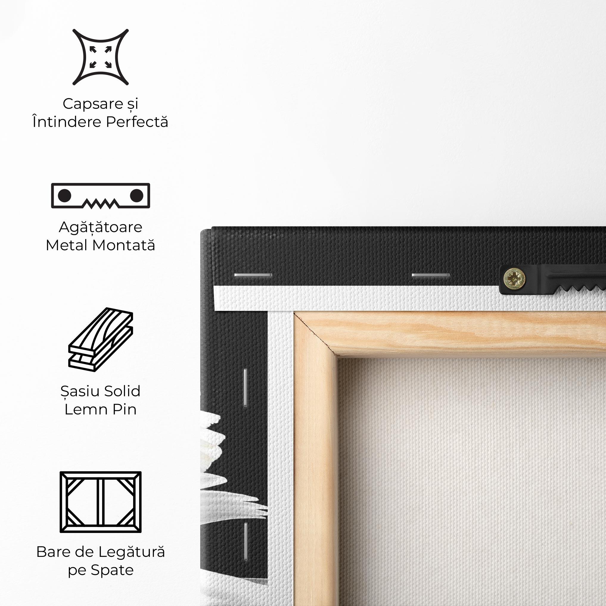 Tablou Canvas Black And White Swan mockup 5