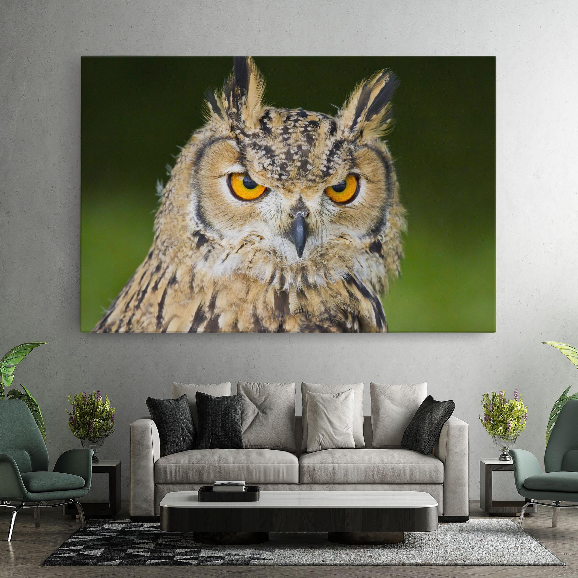 Tablou Canvas Angry Owl mockup 7