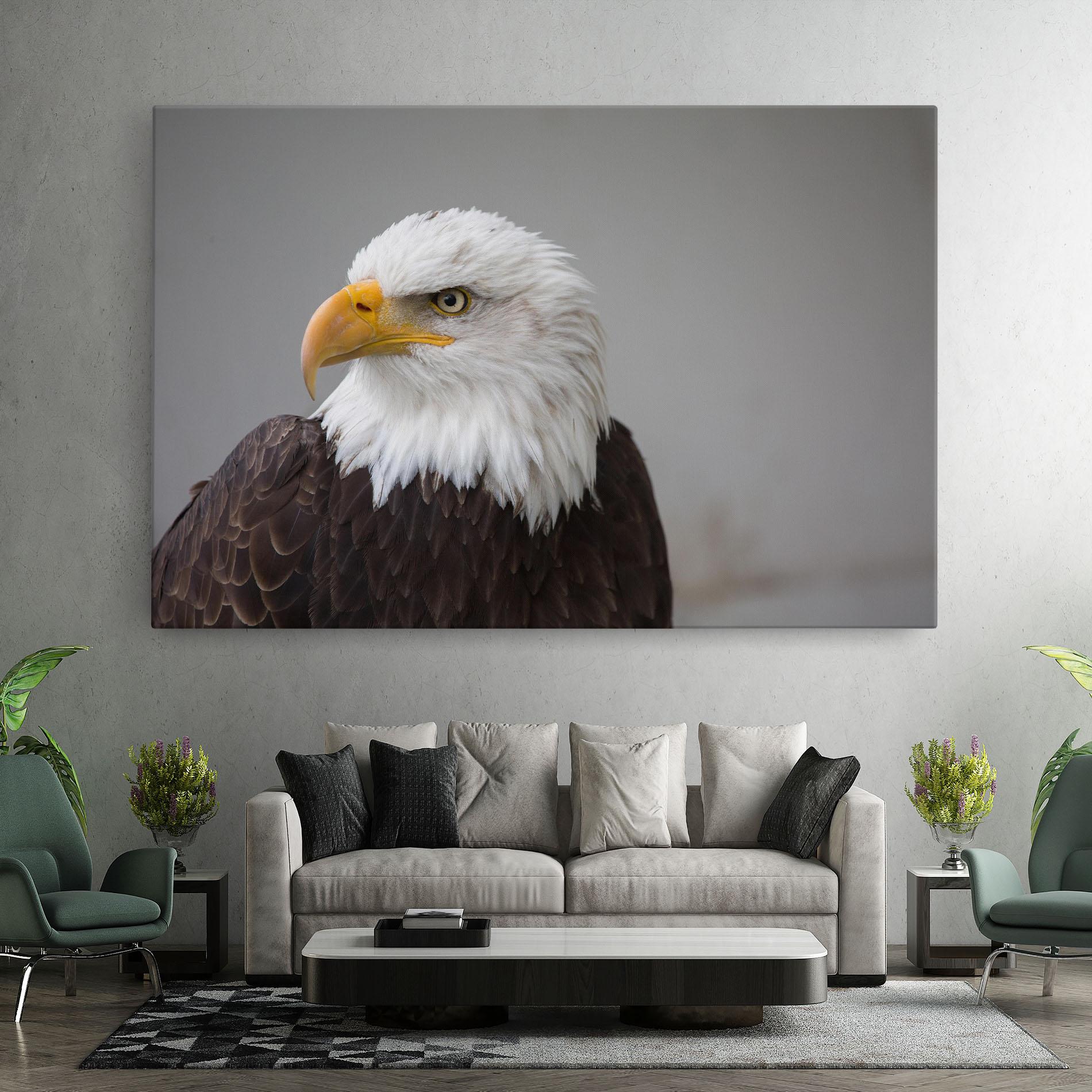 Tablou Canvas Beautiful Eagle mockup 7