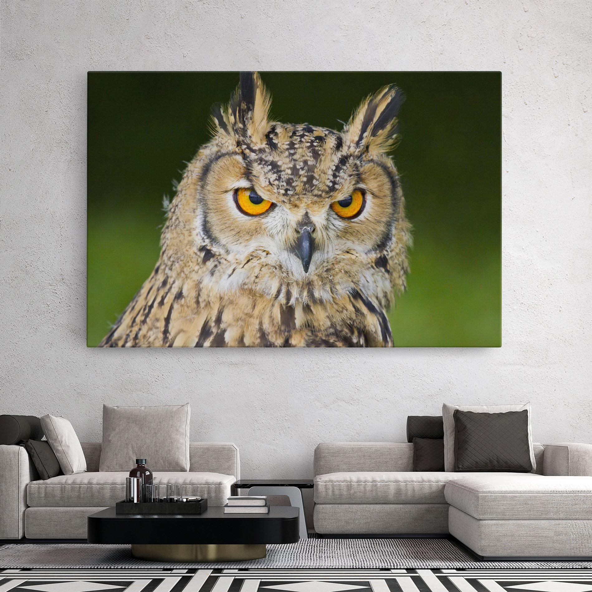 Tablou Canvas Angry Owl mockup 2