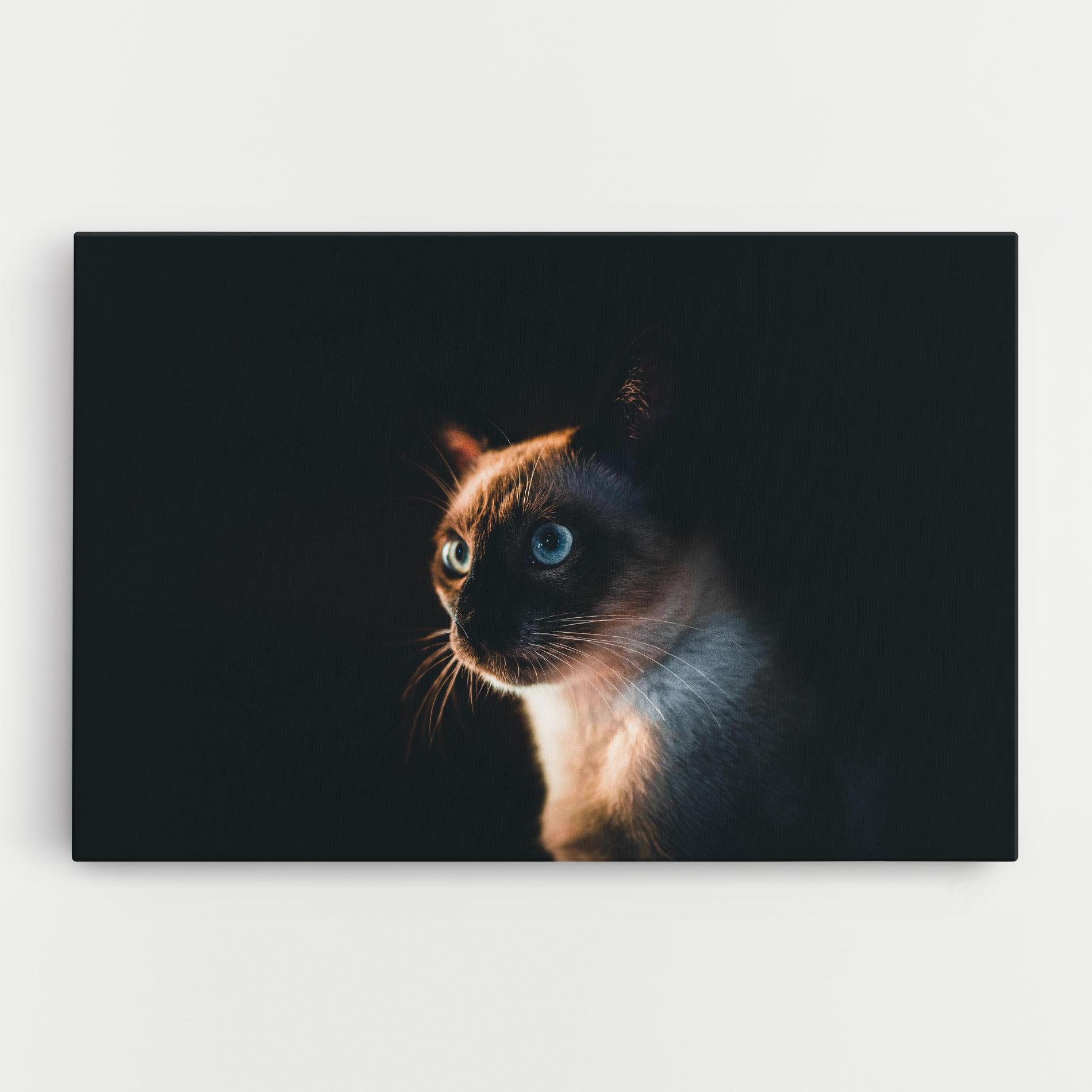 Tablou Canvas Blue Eyes Cat In Dark mockup 0