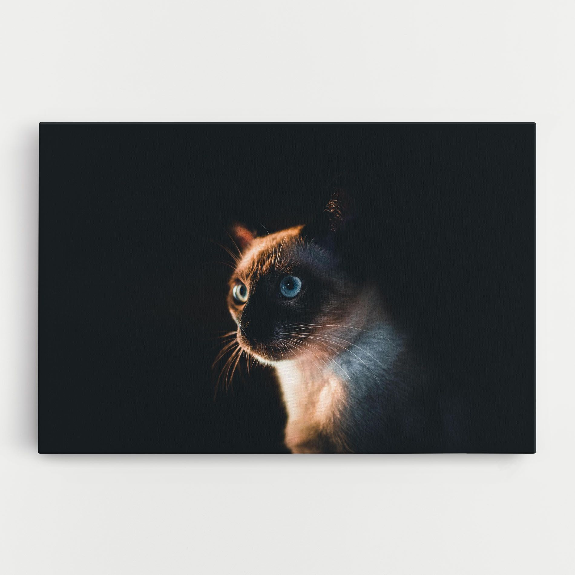 Blue Eyes Cat In Dark mockup 0