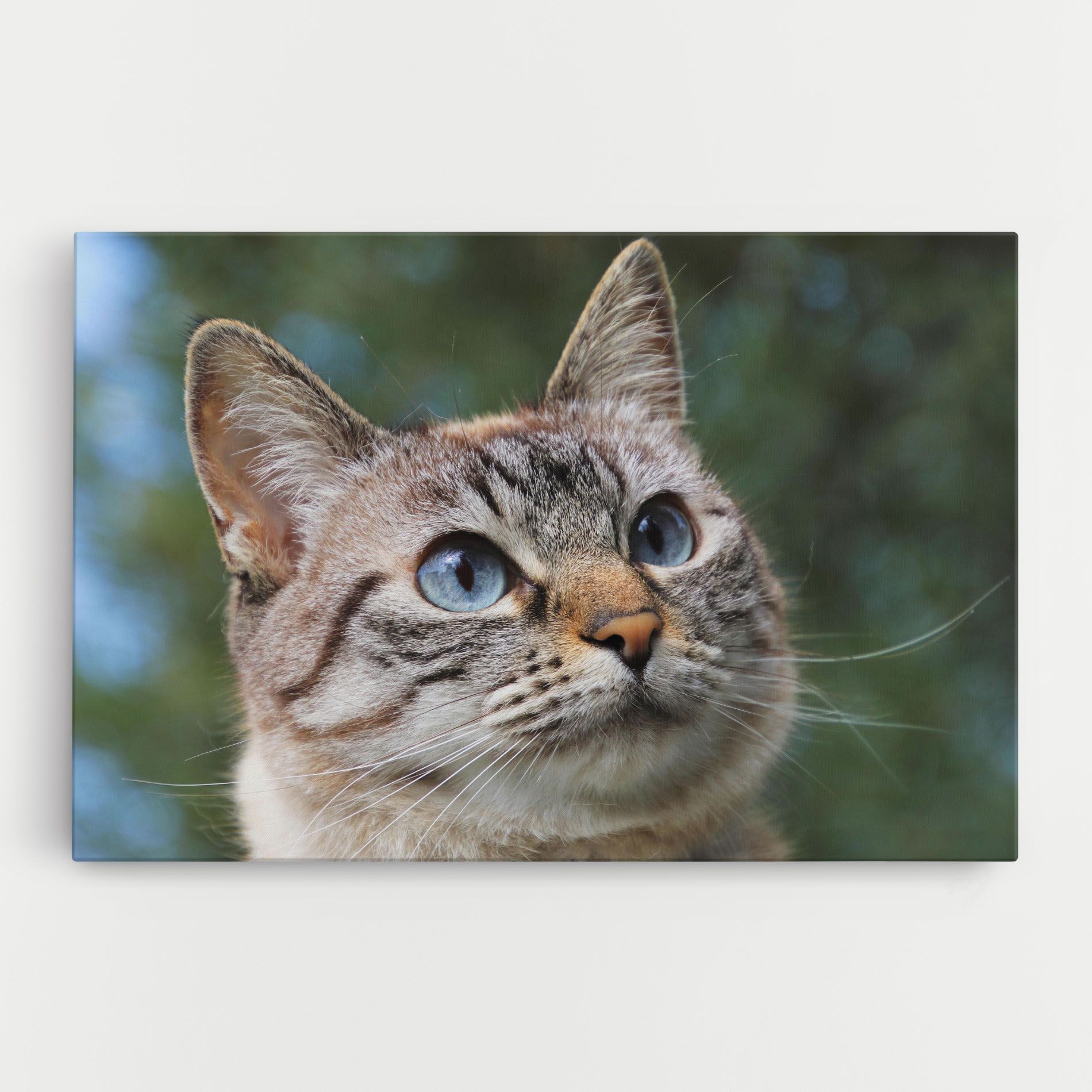 Blue Eyes Cutie mockup 0