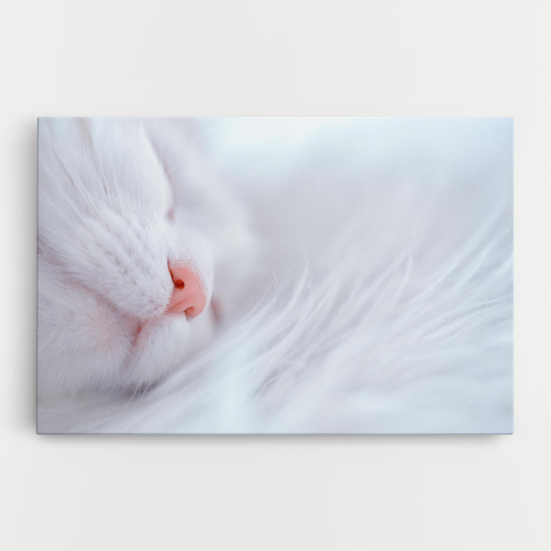 Tablou Canvas Dreamy White Cat mockup 0