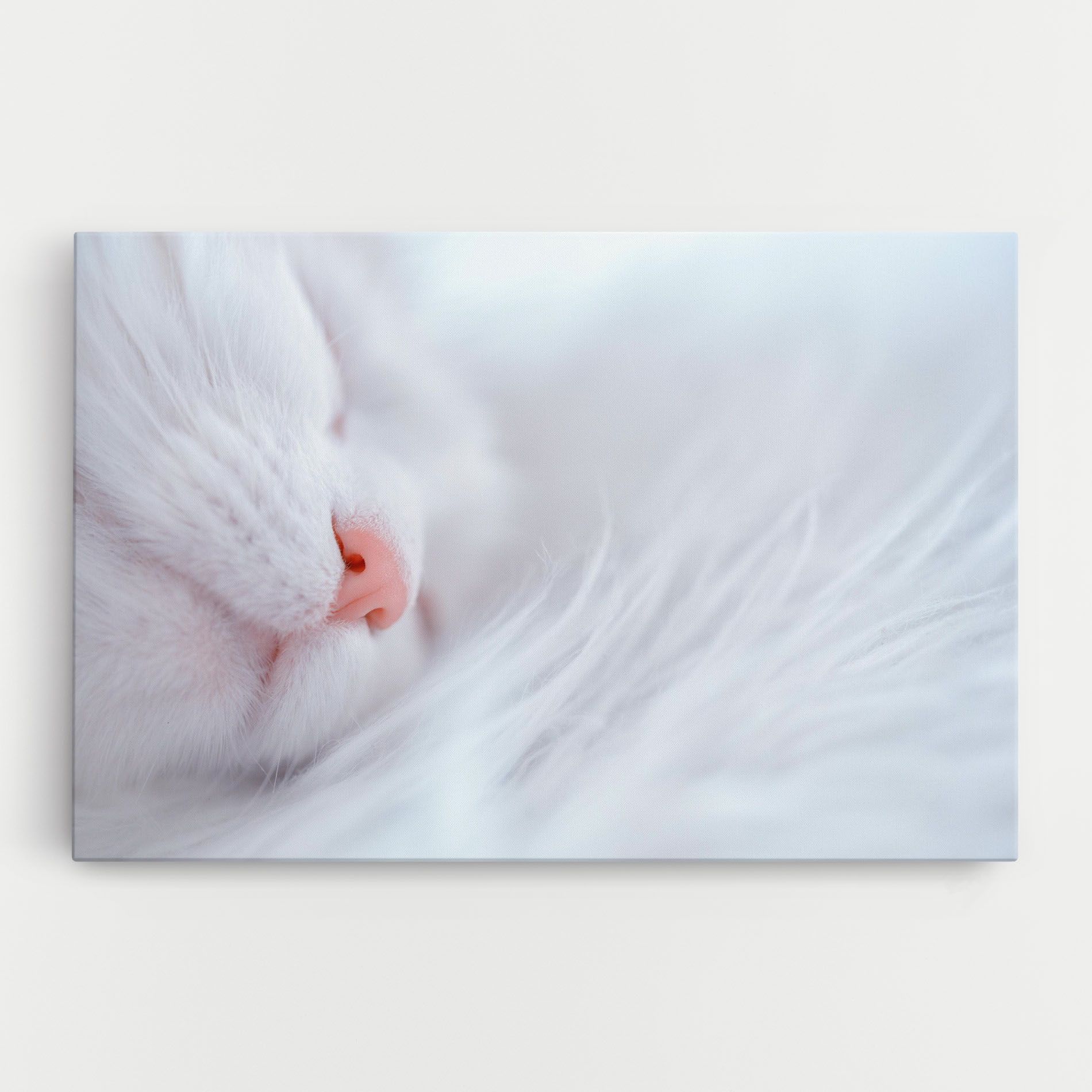 Dreamy White Cat mockup 0