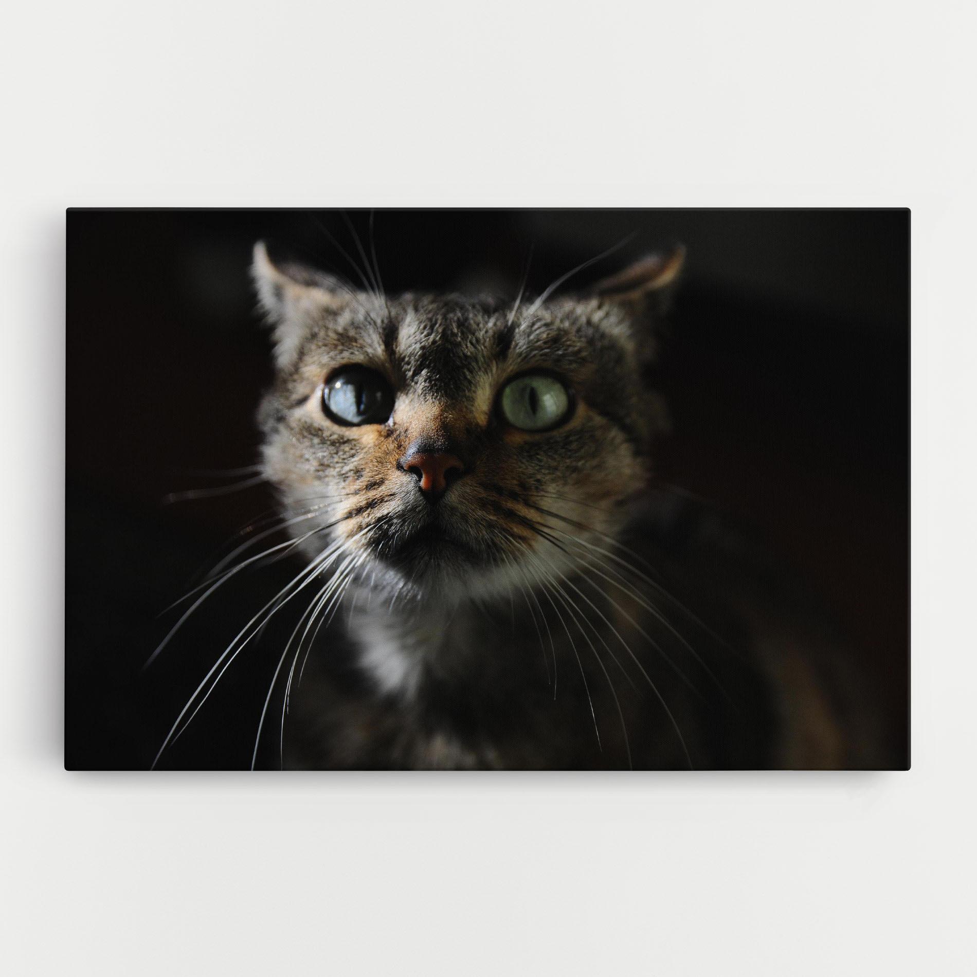 Tablou Canvas Playful Cat mockup 0