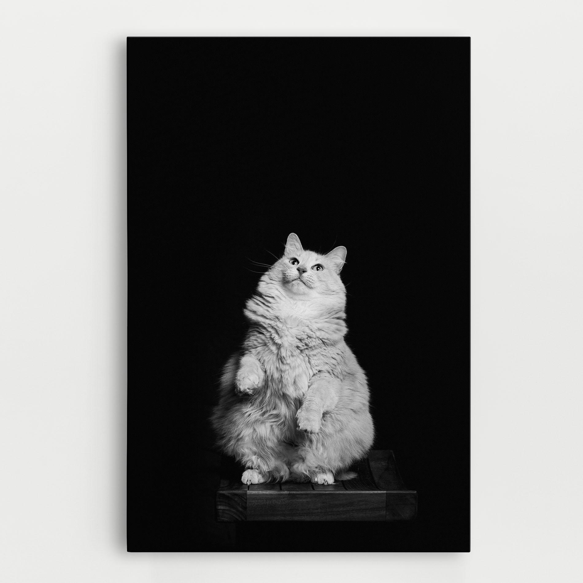 Tablou Canvas Big Fluffy Cat mockup 0