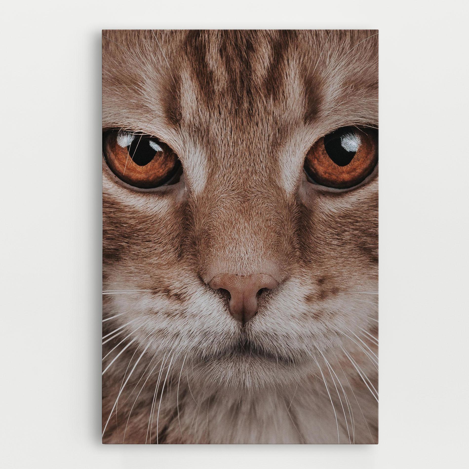 Tablou Canvas Fire Eyes Cat mockup 0