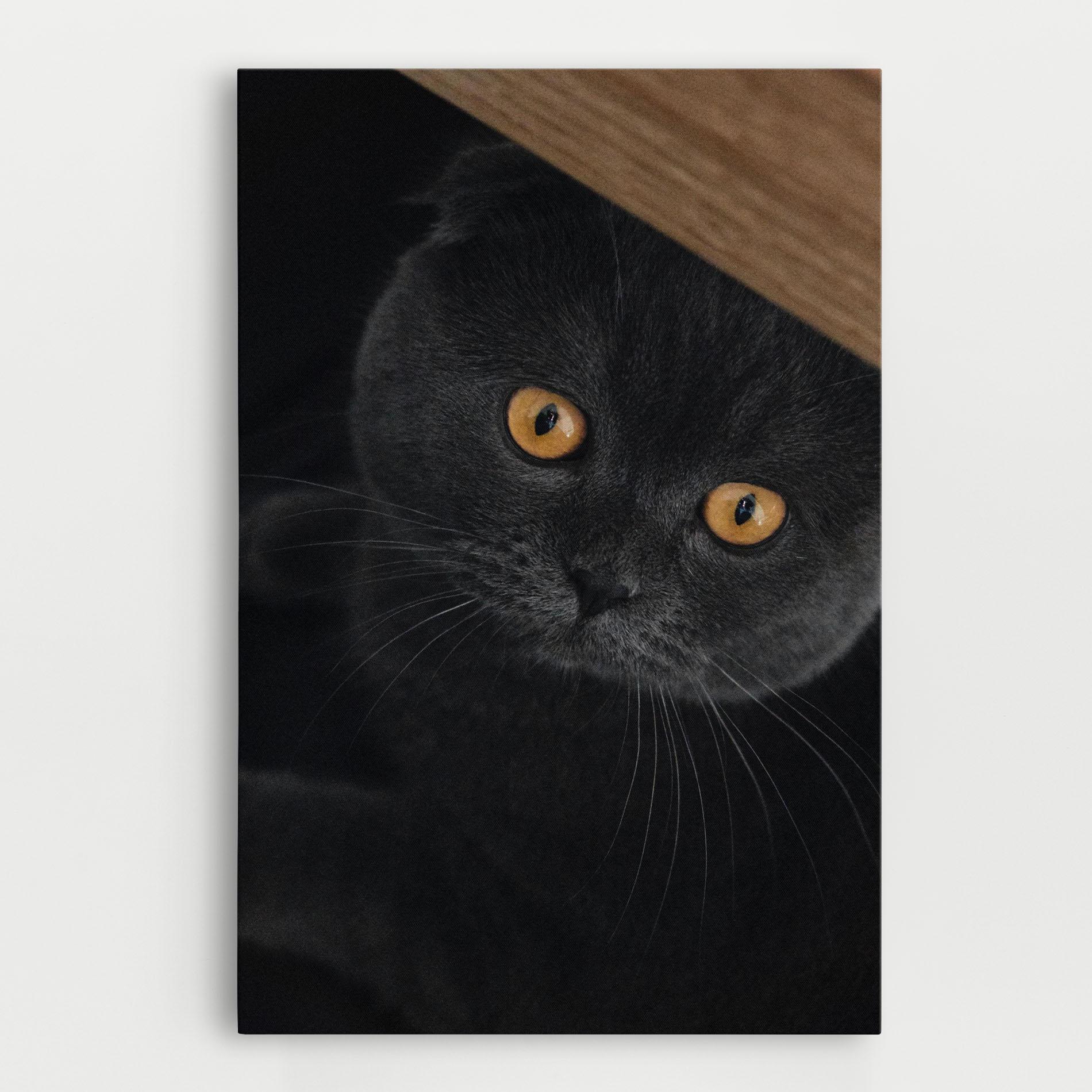 Tablou Canvas Grey Cat With Orange Eyes mockup 0