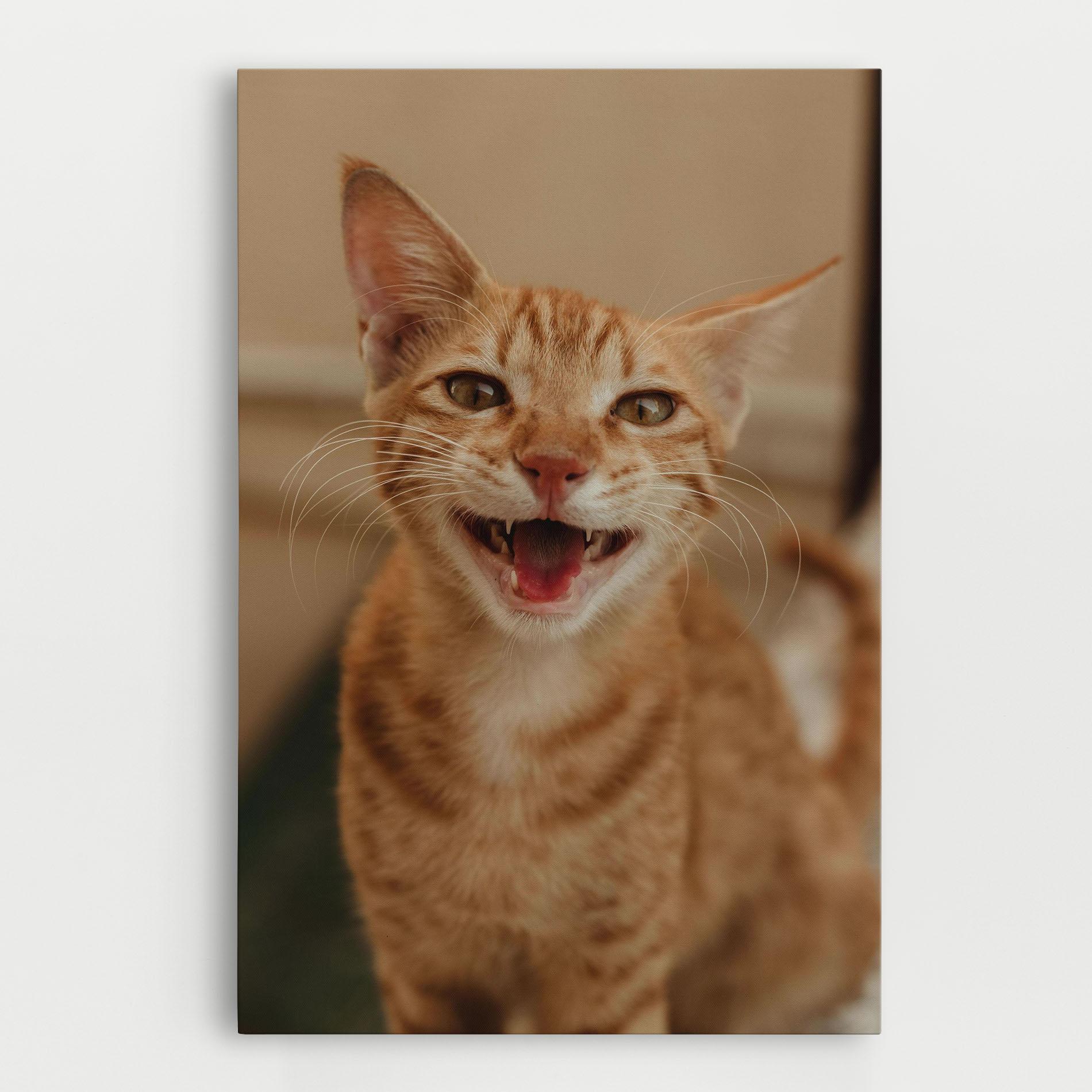 Tablou Canvas Orange Cat Smiling mockup 0