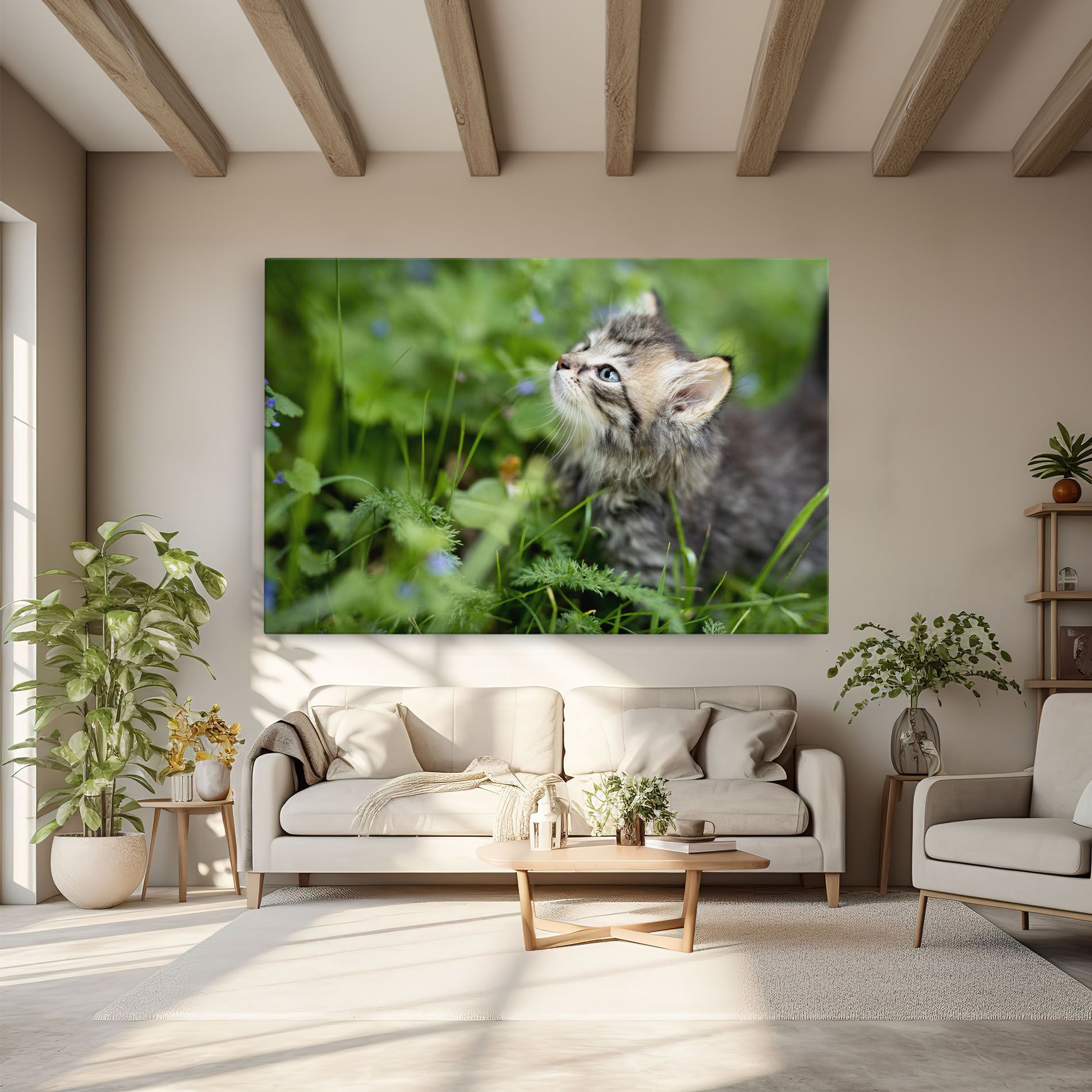 Brown Baby Cat mockup 6