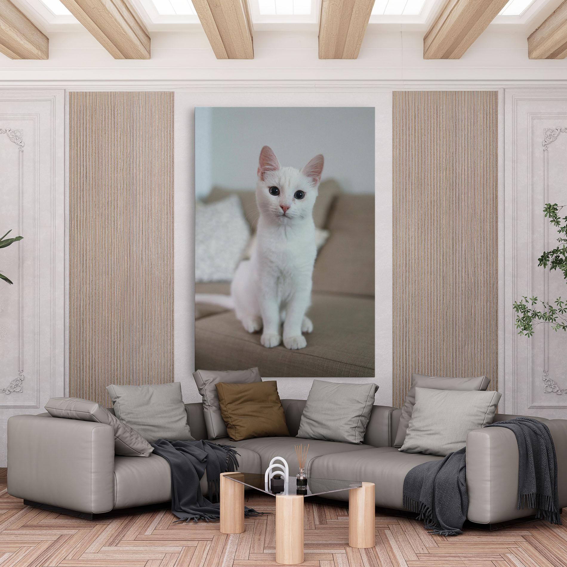 Tablou Canvas Beautiful White Cat mockup 6
