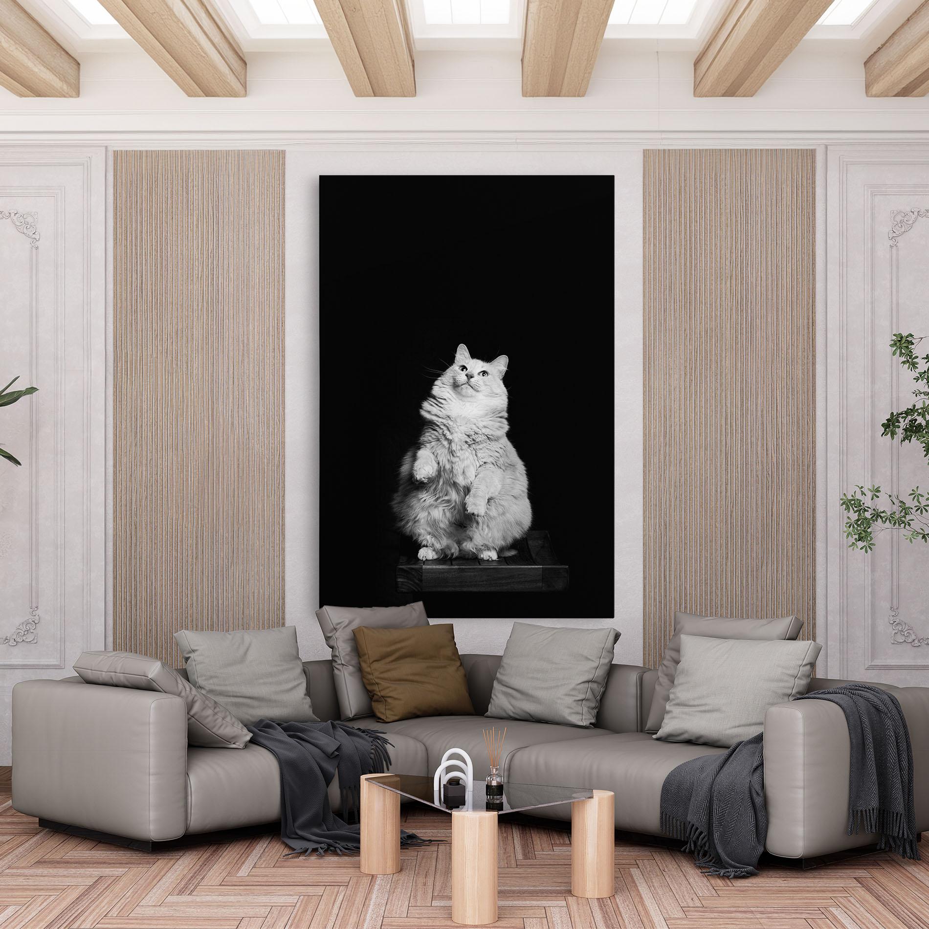 Tablou Canvas Big Fluffy Cat mockup 6