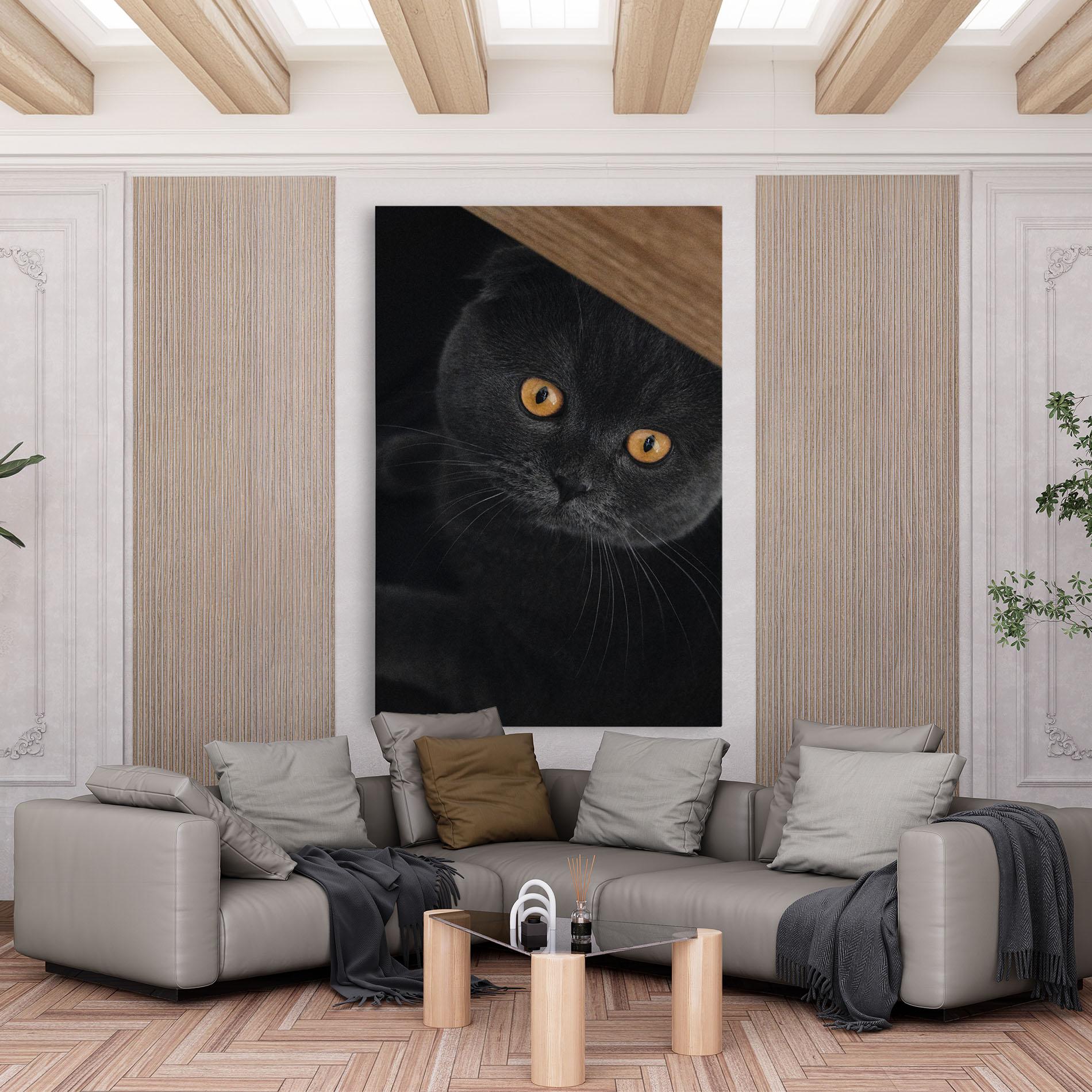 Tablou Canvas Grey Cat With Orange Eyes mockup 6