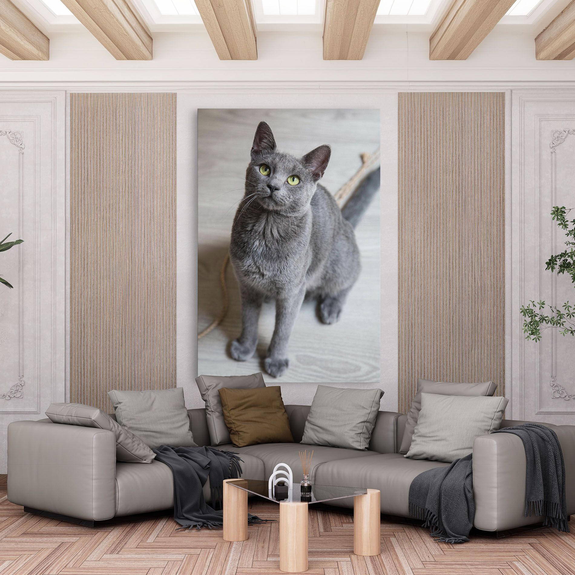 Grey Green Cat Eyes mockup 6