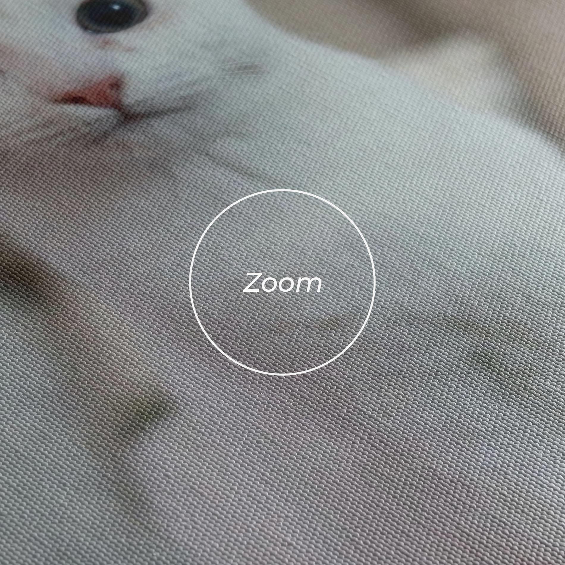 Tablou Canvas Beautiful White Cat mockup 3