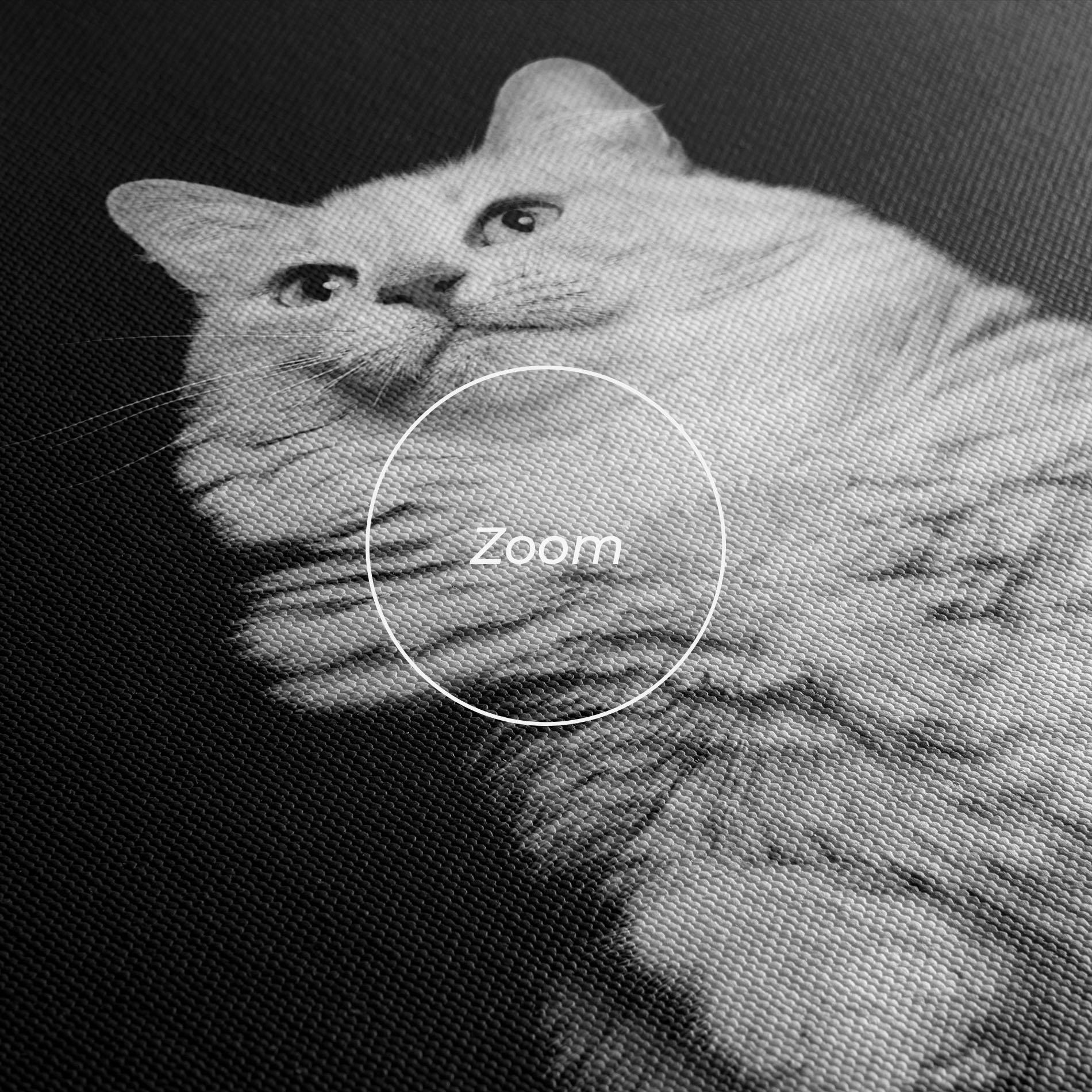 Tablou Canvas Big Fluffy Cat mockup 3
