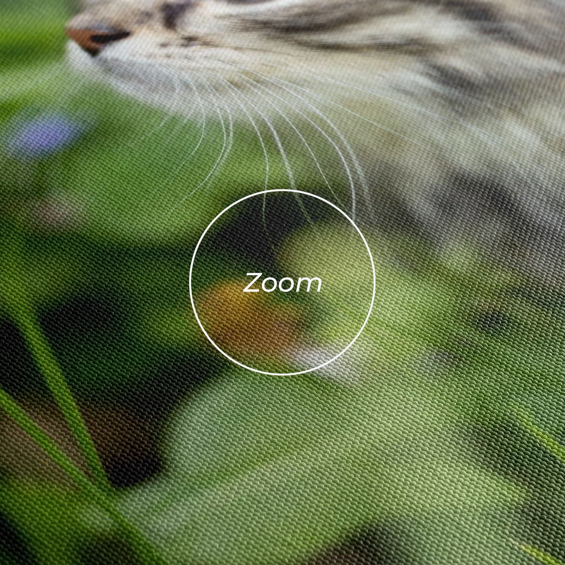 Brown Baby Cat mockup 3