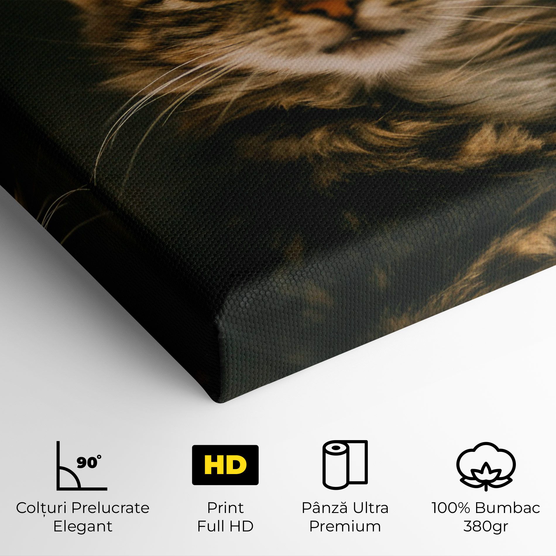 Amazed Cat mockup 4