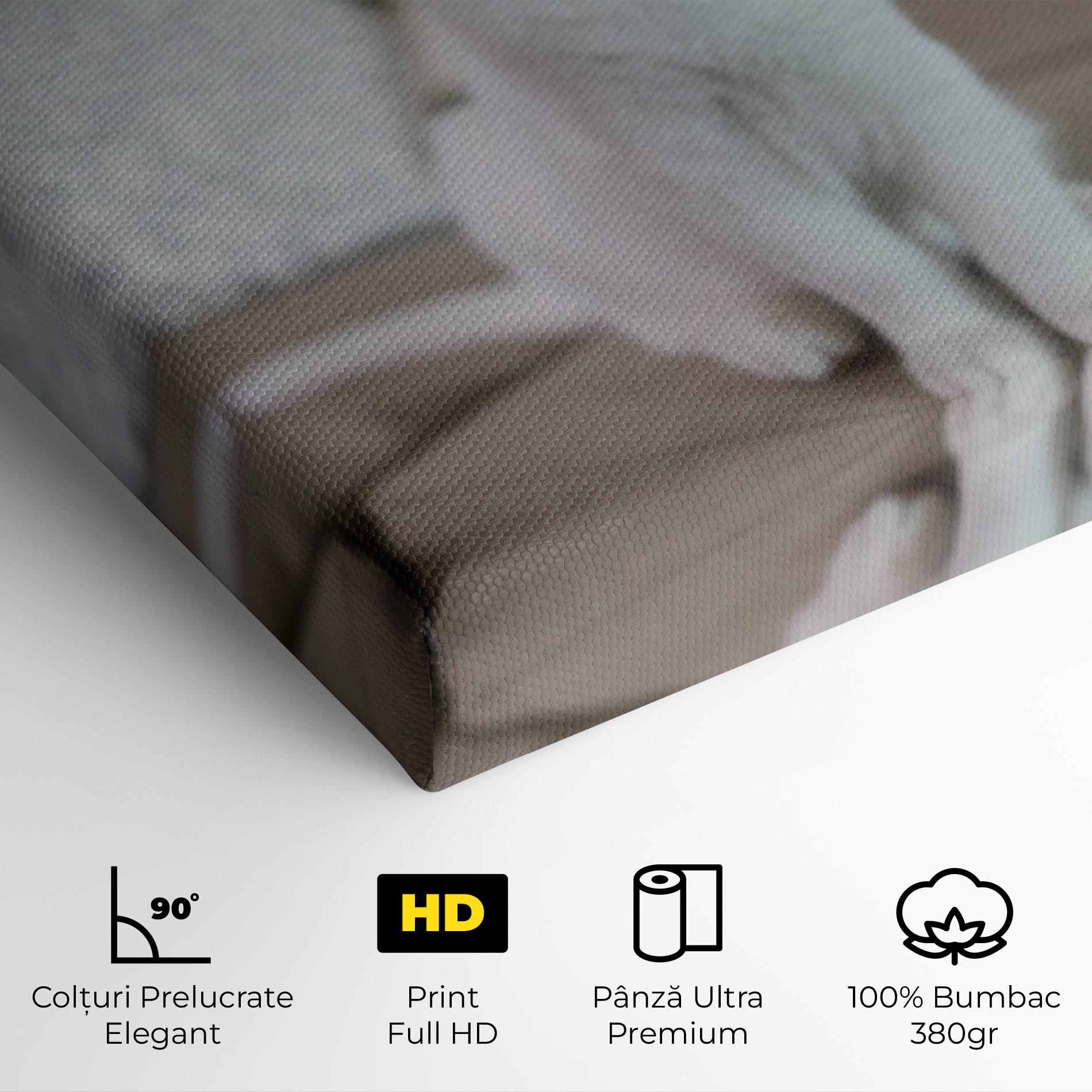 Tablou Canvas Beautiful White Cat mockup 4