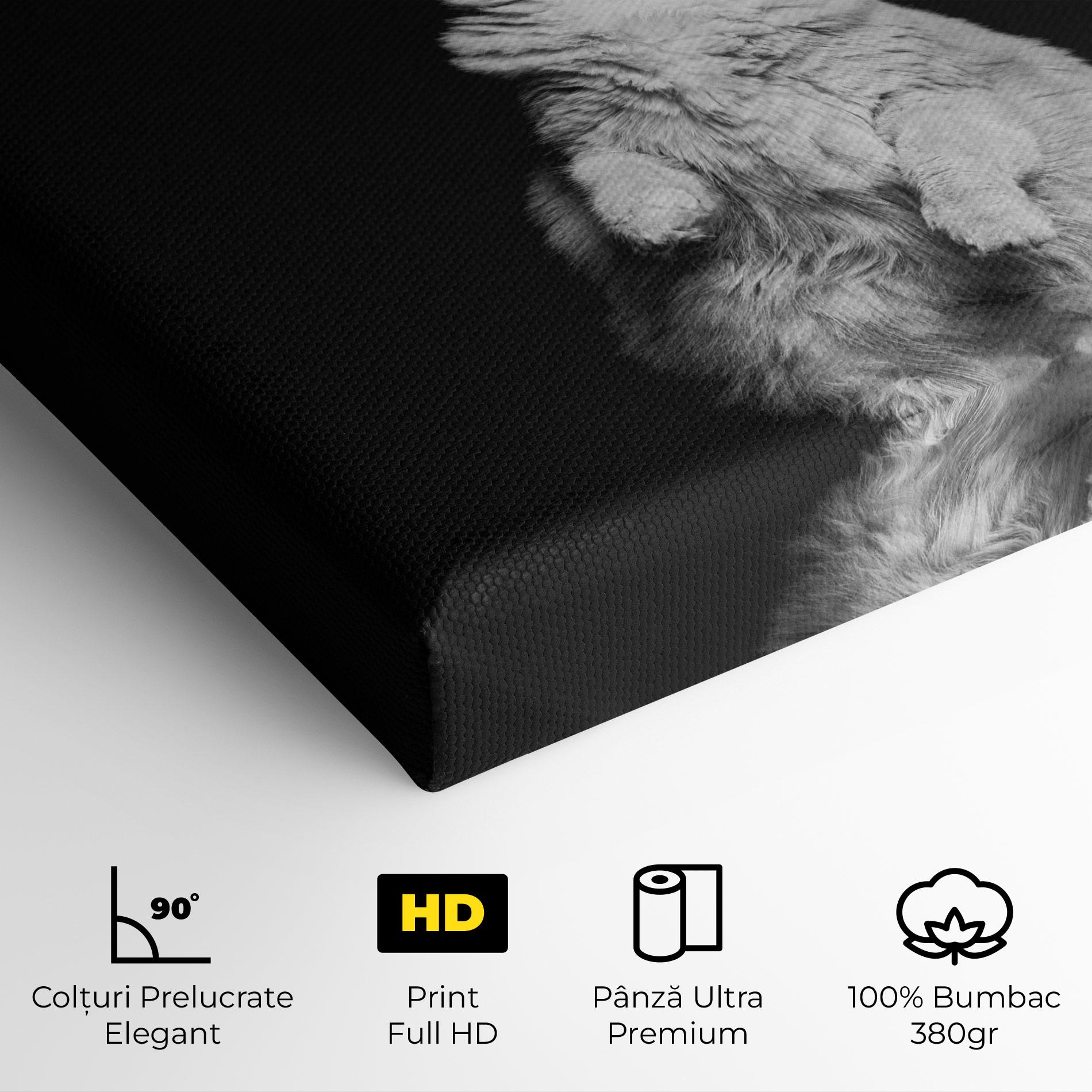 Tablou Canvas Big Fluffy Cat mockup 4