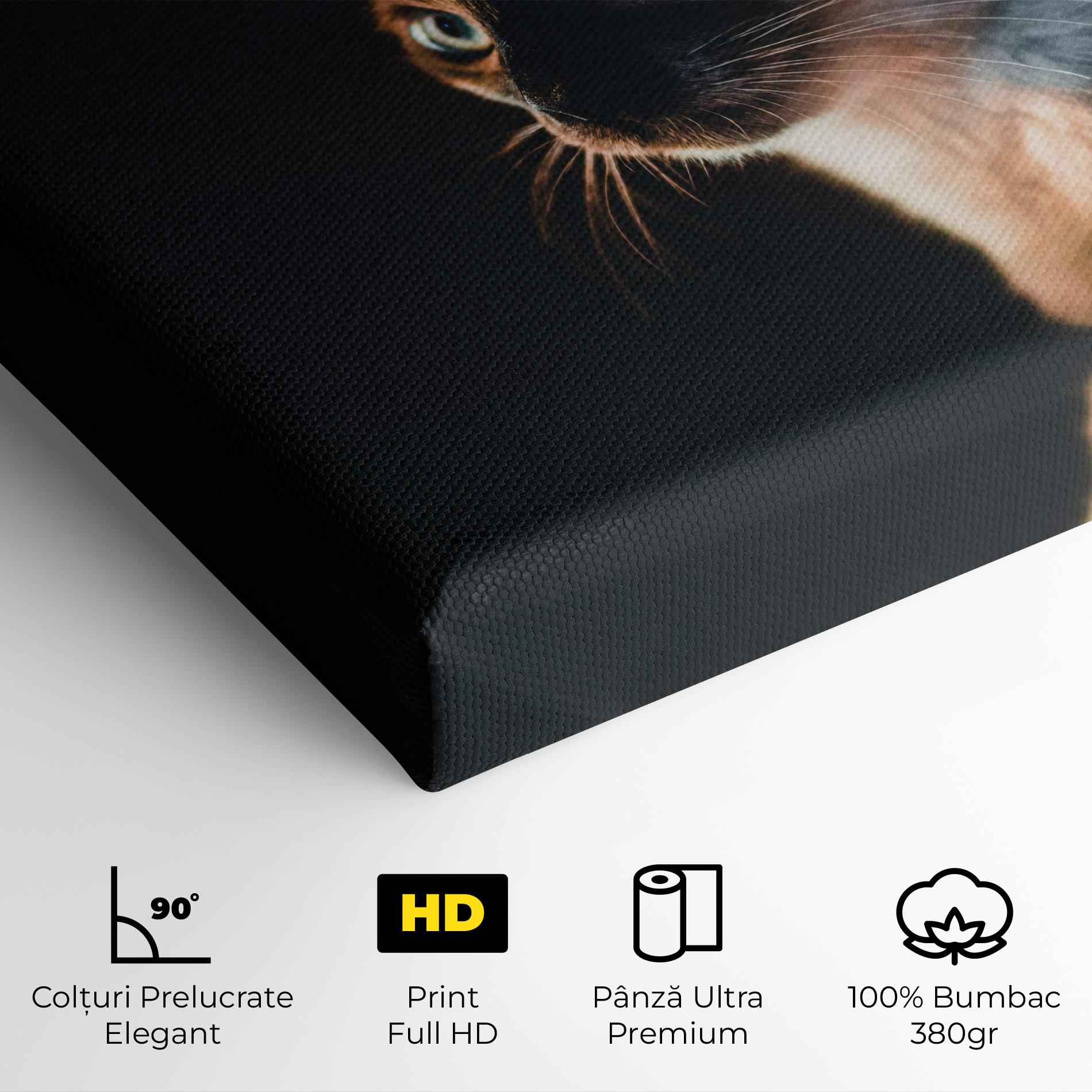 Tablou Canvas Blue Eyes Cat In Dark mockup 4