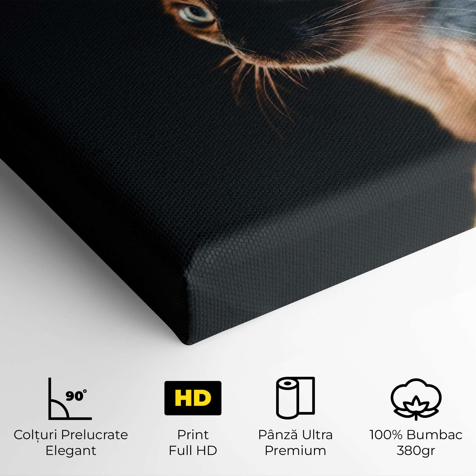 Blue Eyes Cat In Dark mockup 4