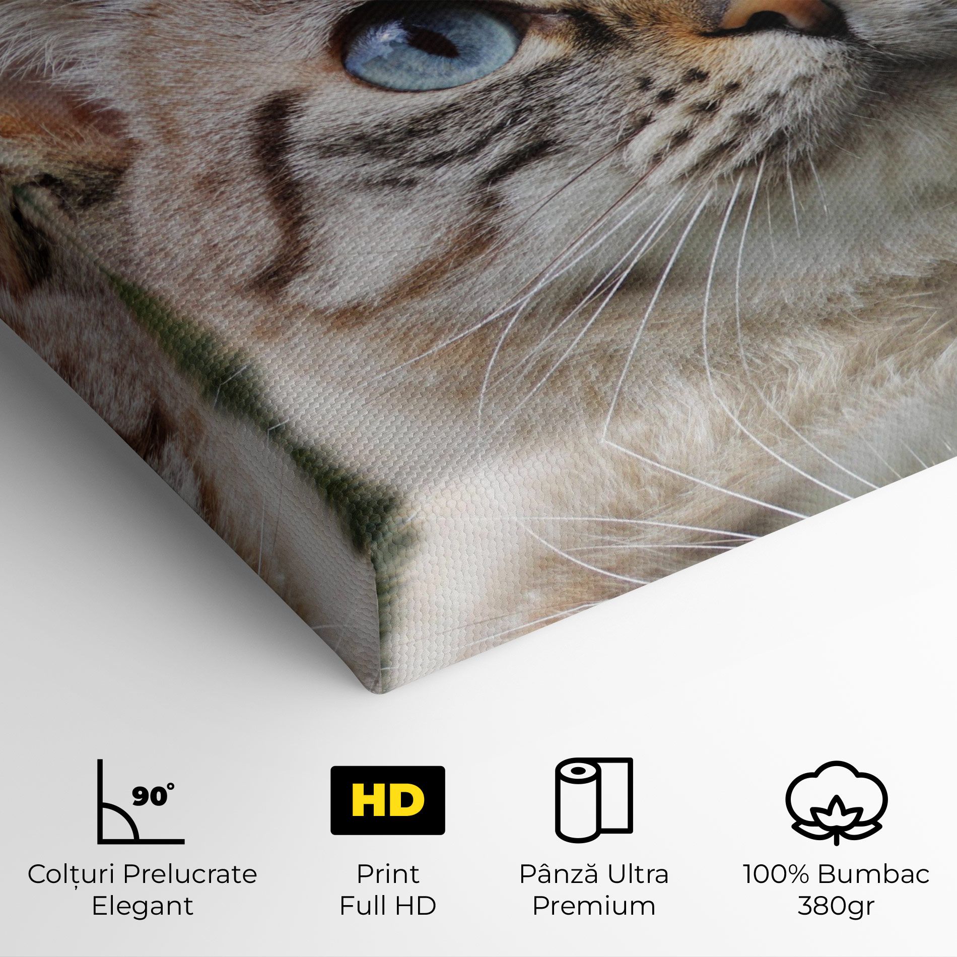 Blue Eyes Cutie mockup 4