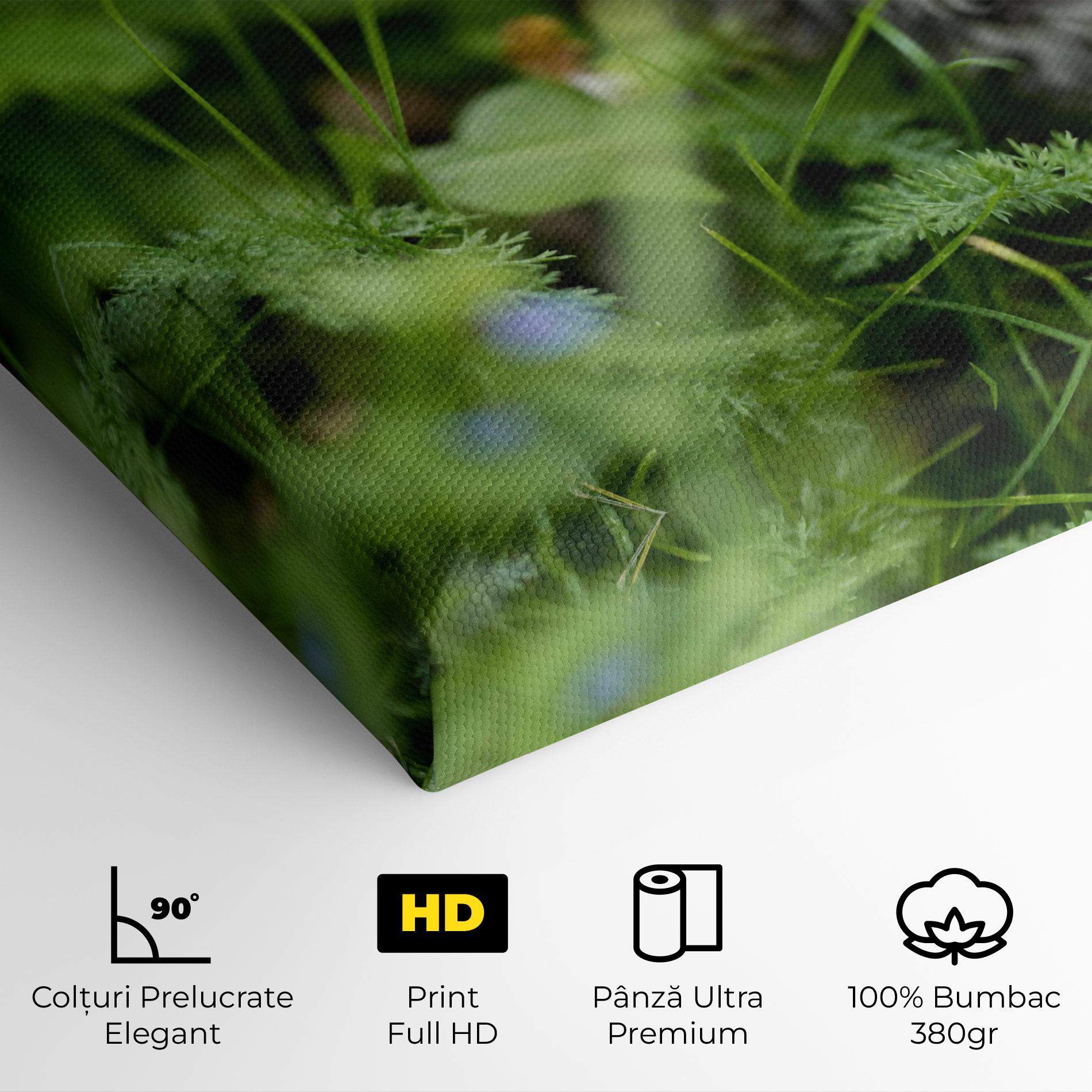 Tablou Canvas Brown Baby Cat mockup 4