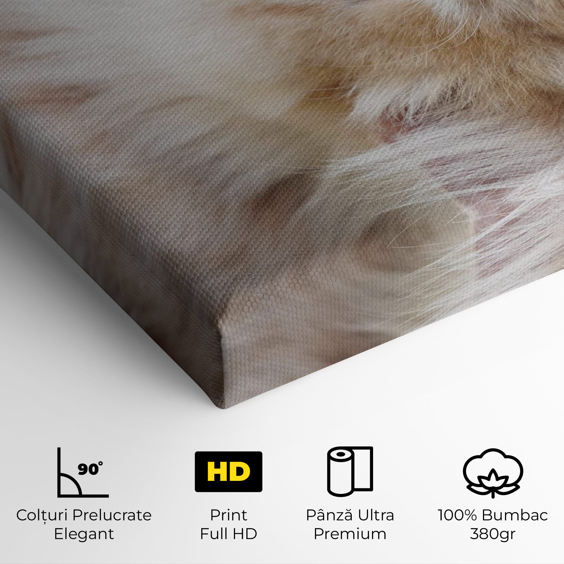 Close Up Yellow Eyes Cat mockup 4