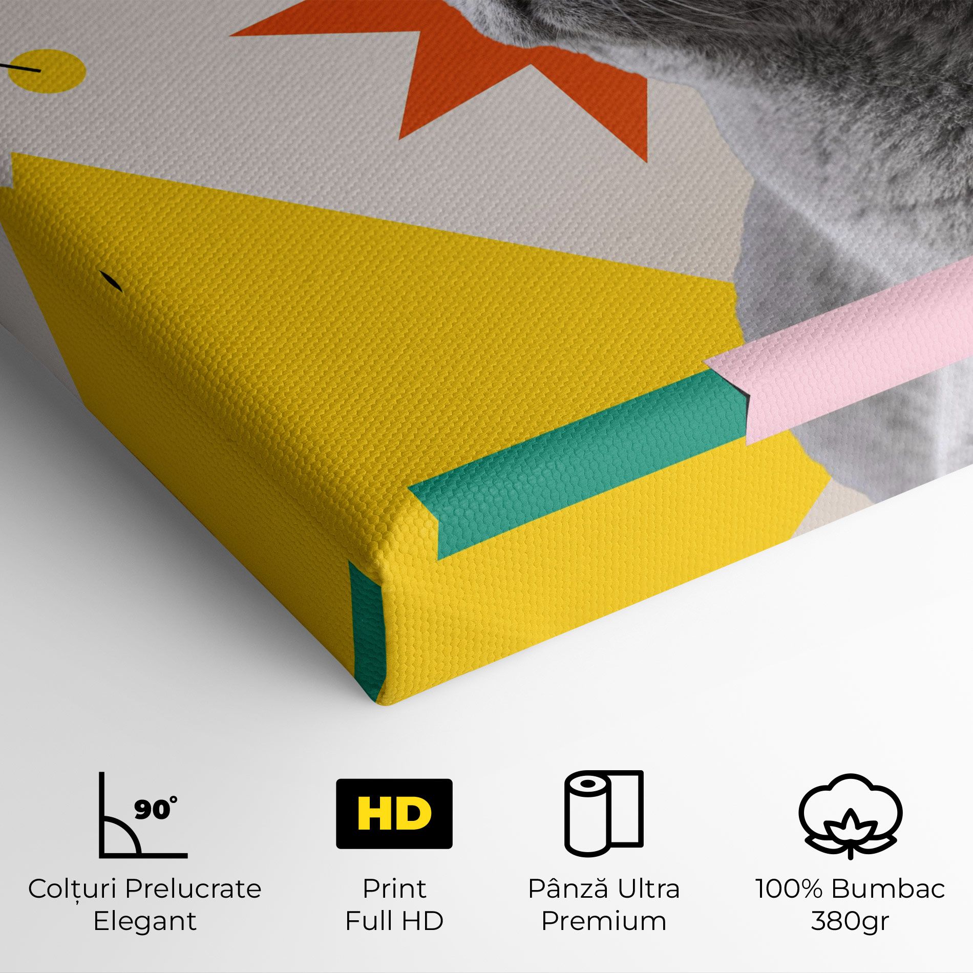 Colorful Graphic Cat mockup 4