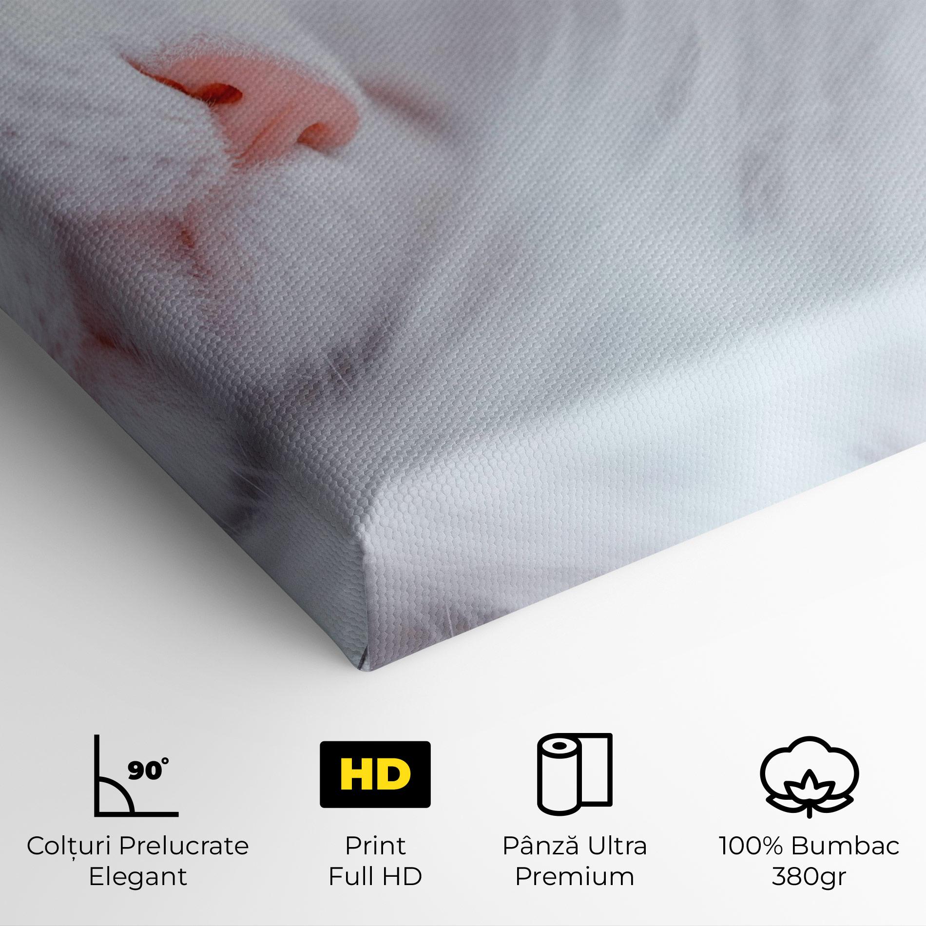 Tablou Canvas Dreamy White Cat mockup 4