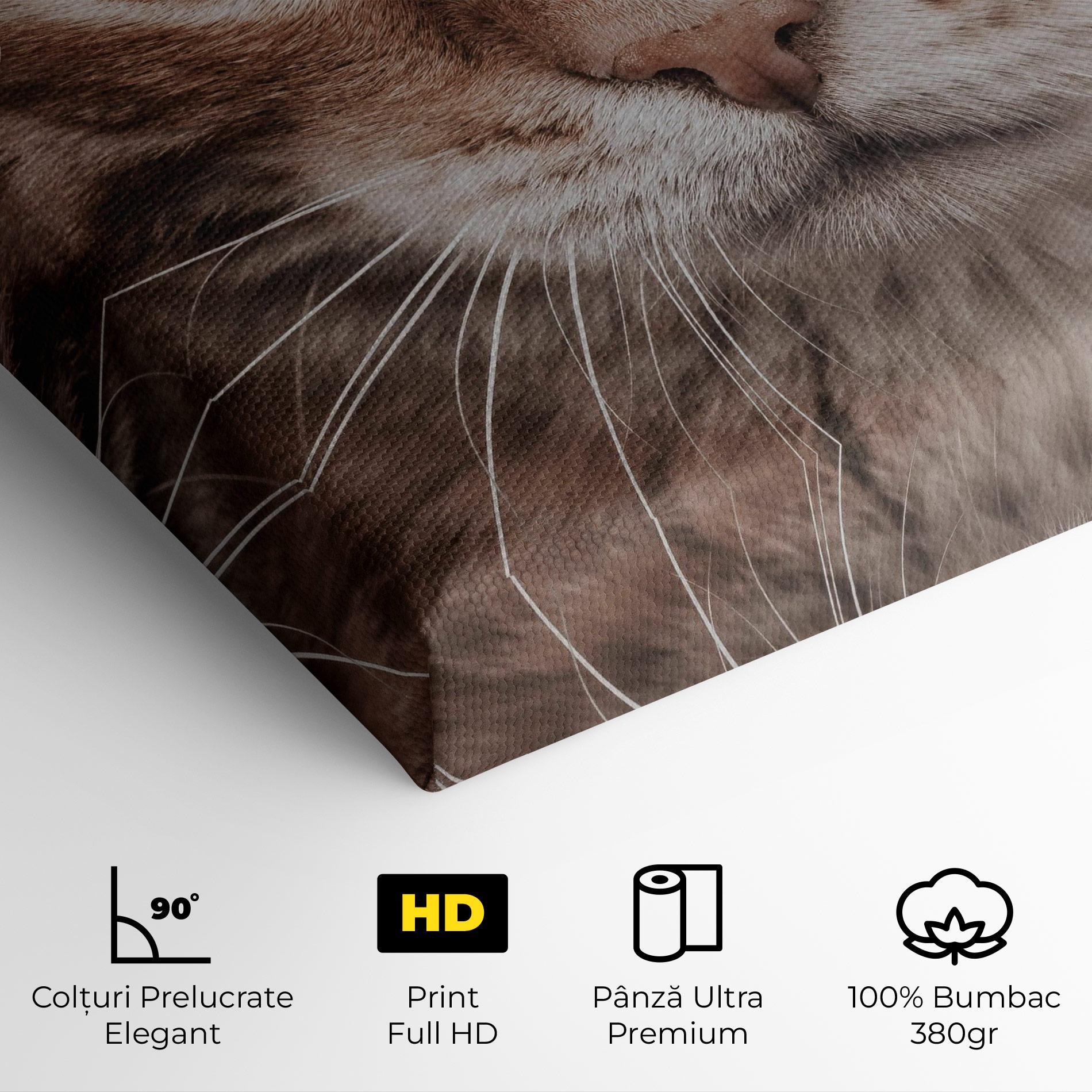 Tablou Canvas Fire Eyes Cat mockup 4